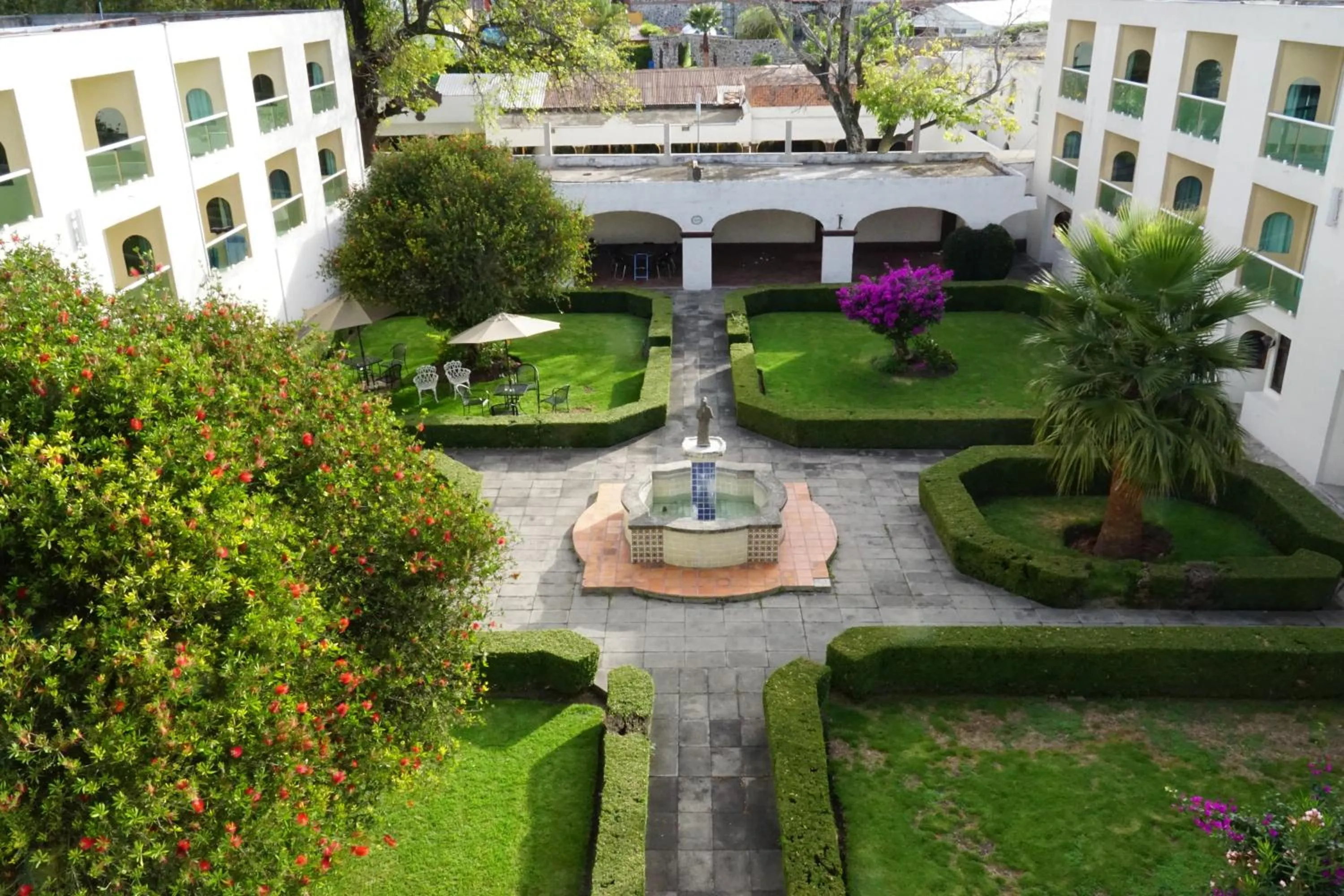 Garden in Hotel Posada Señorial