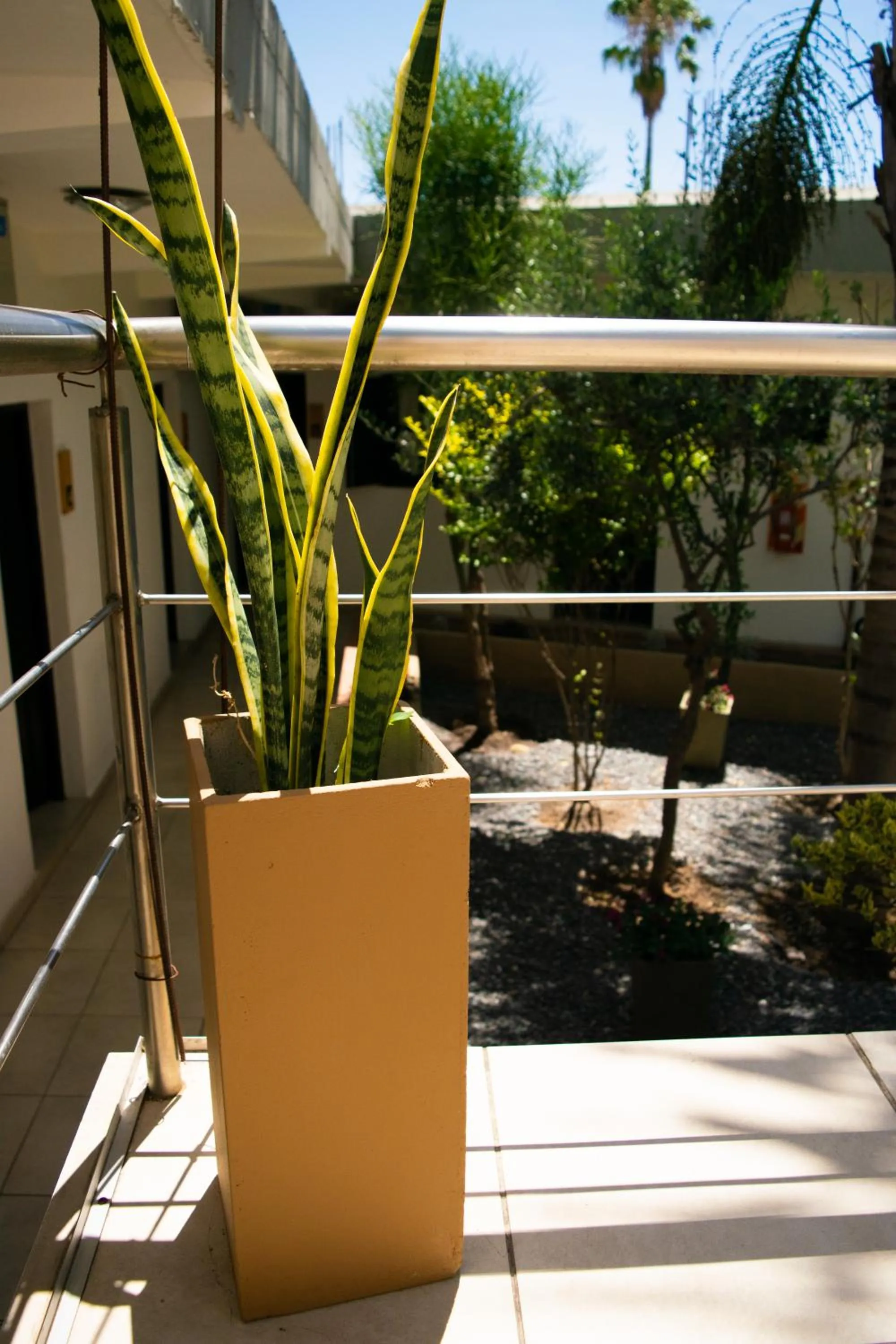Garden in Hotel del Tren