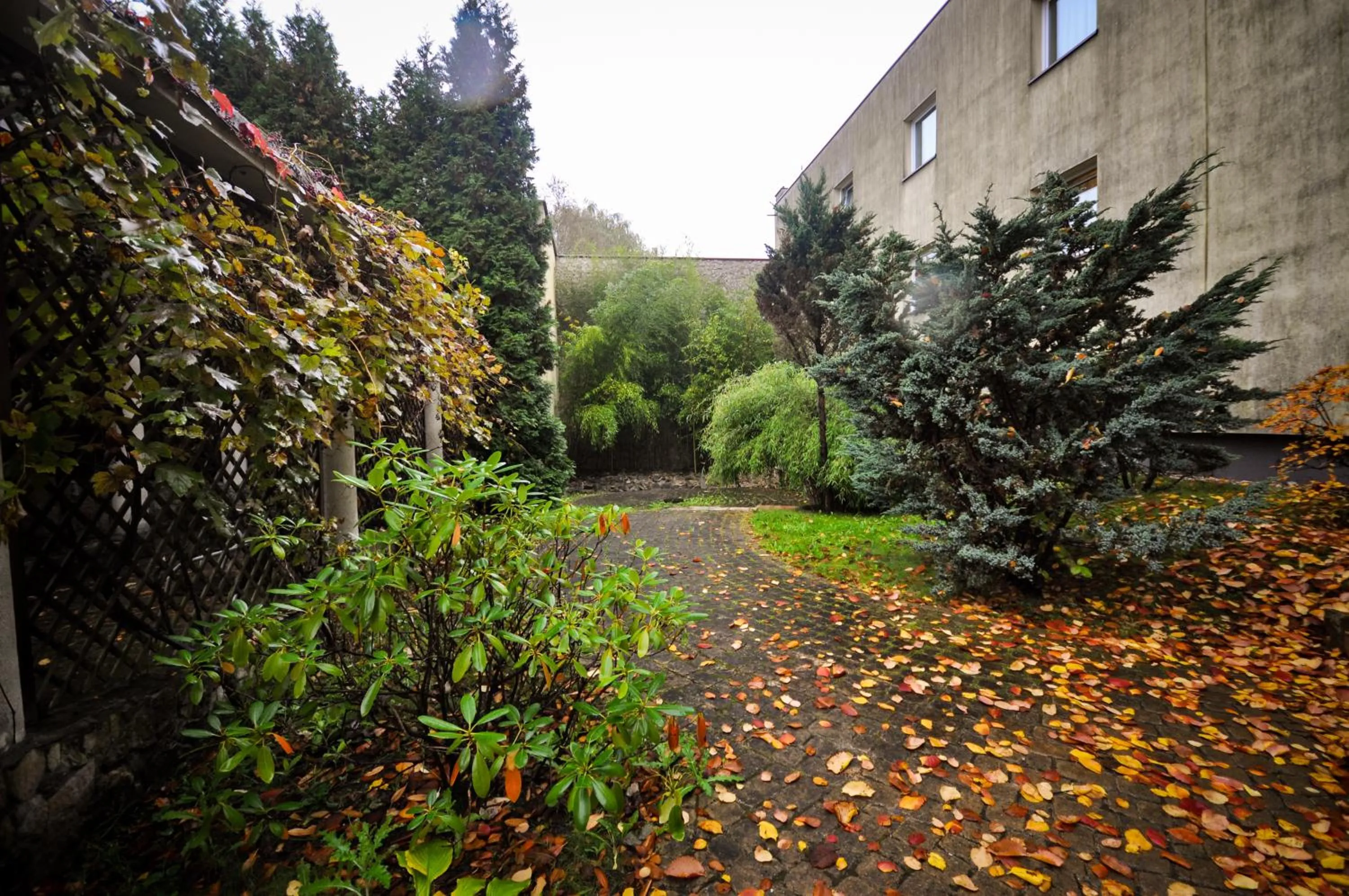 Garden in Hotel Trzy Światy Spa & Wellness Rajska WySpa