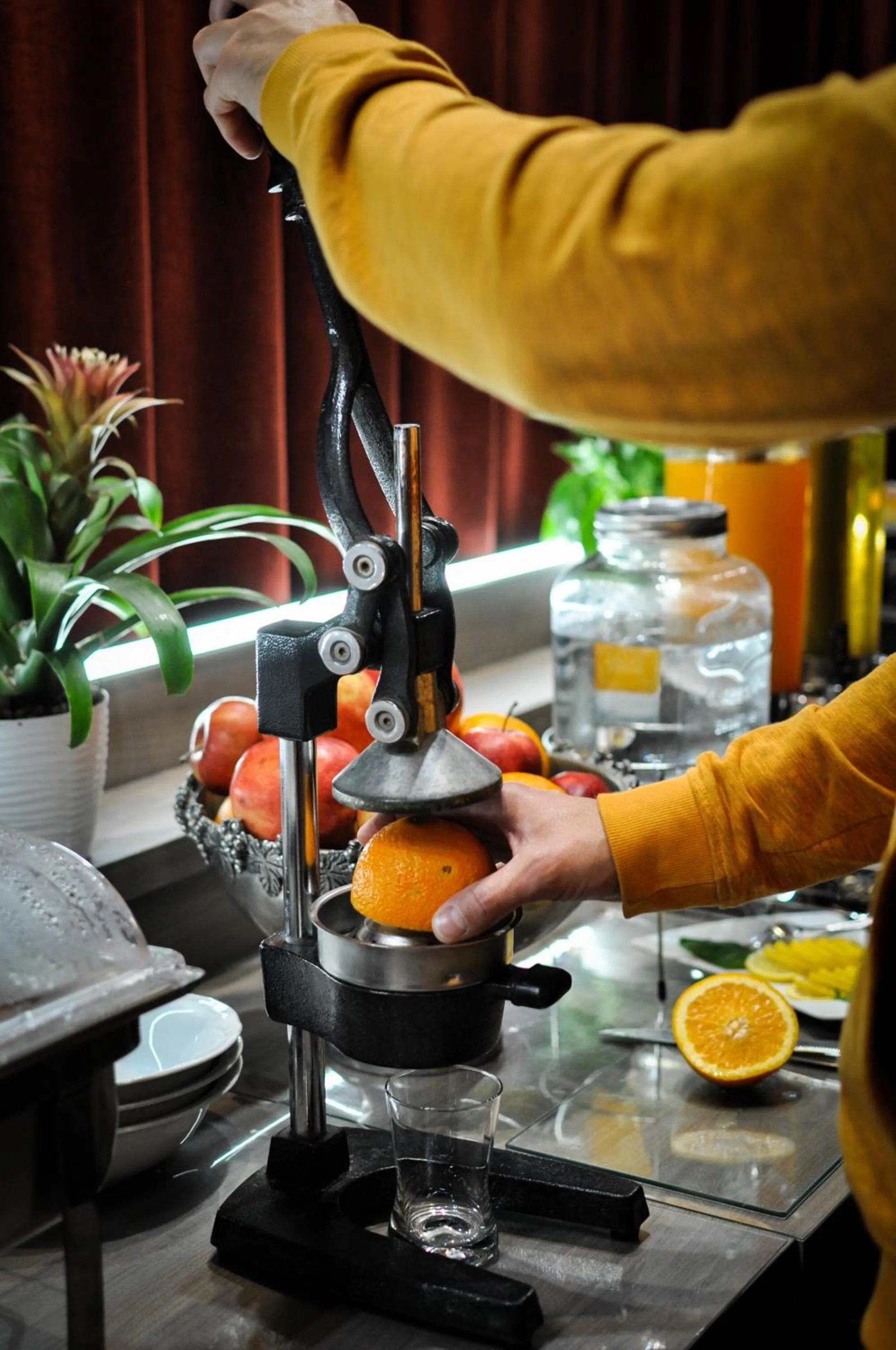 Food and drinks in Hotel Trzy Światy Spa & Wellness Rajska WySpa