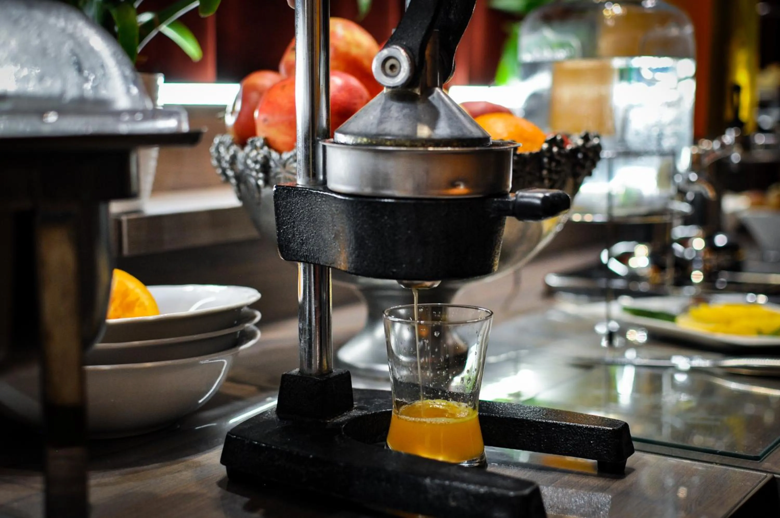 Food and drinks in Hotel Trzy Światy Spa & Wellness Rajska WySpa