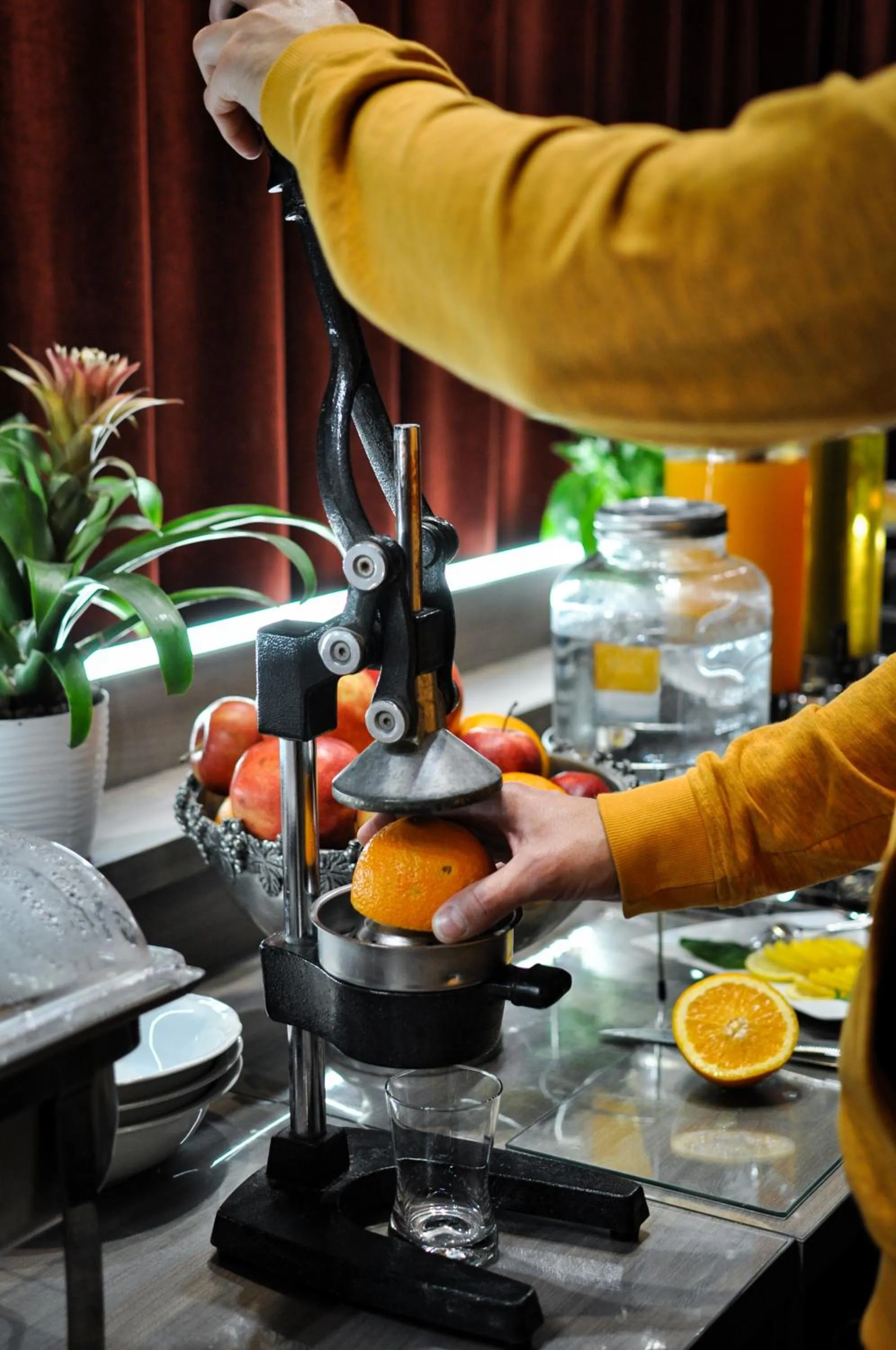 Food and drinks in Hotel Trzy Światy Spa & Wellness Rajska WySpa