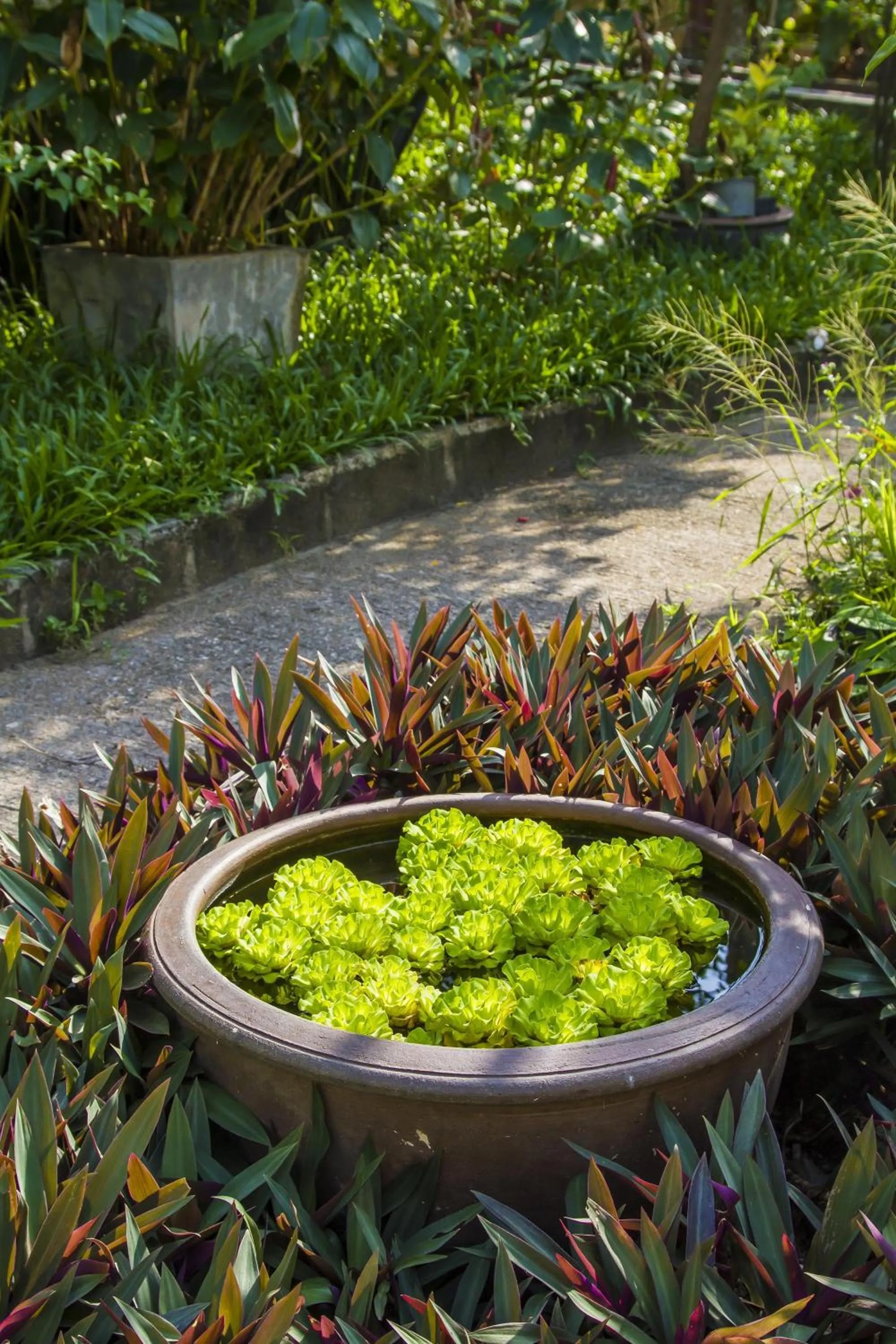 Property building in Boujis Boutique Resort