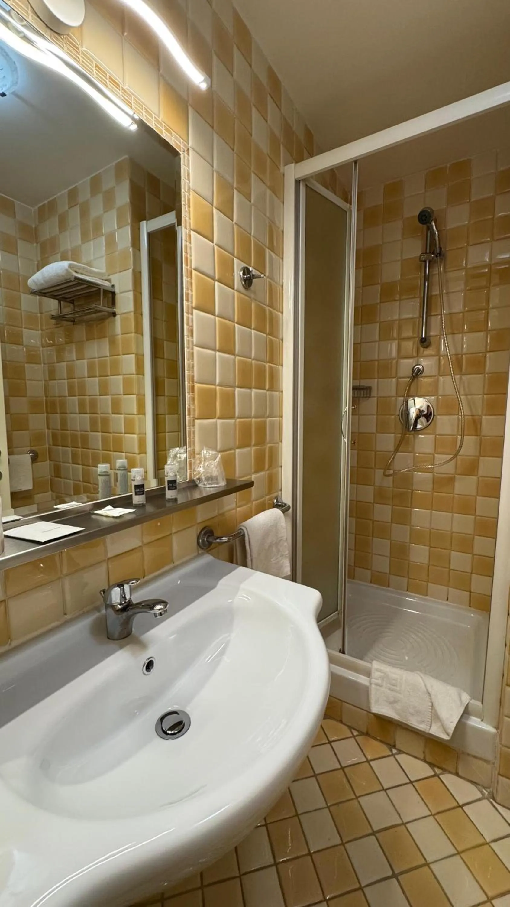 Shower in Hotel Bright