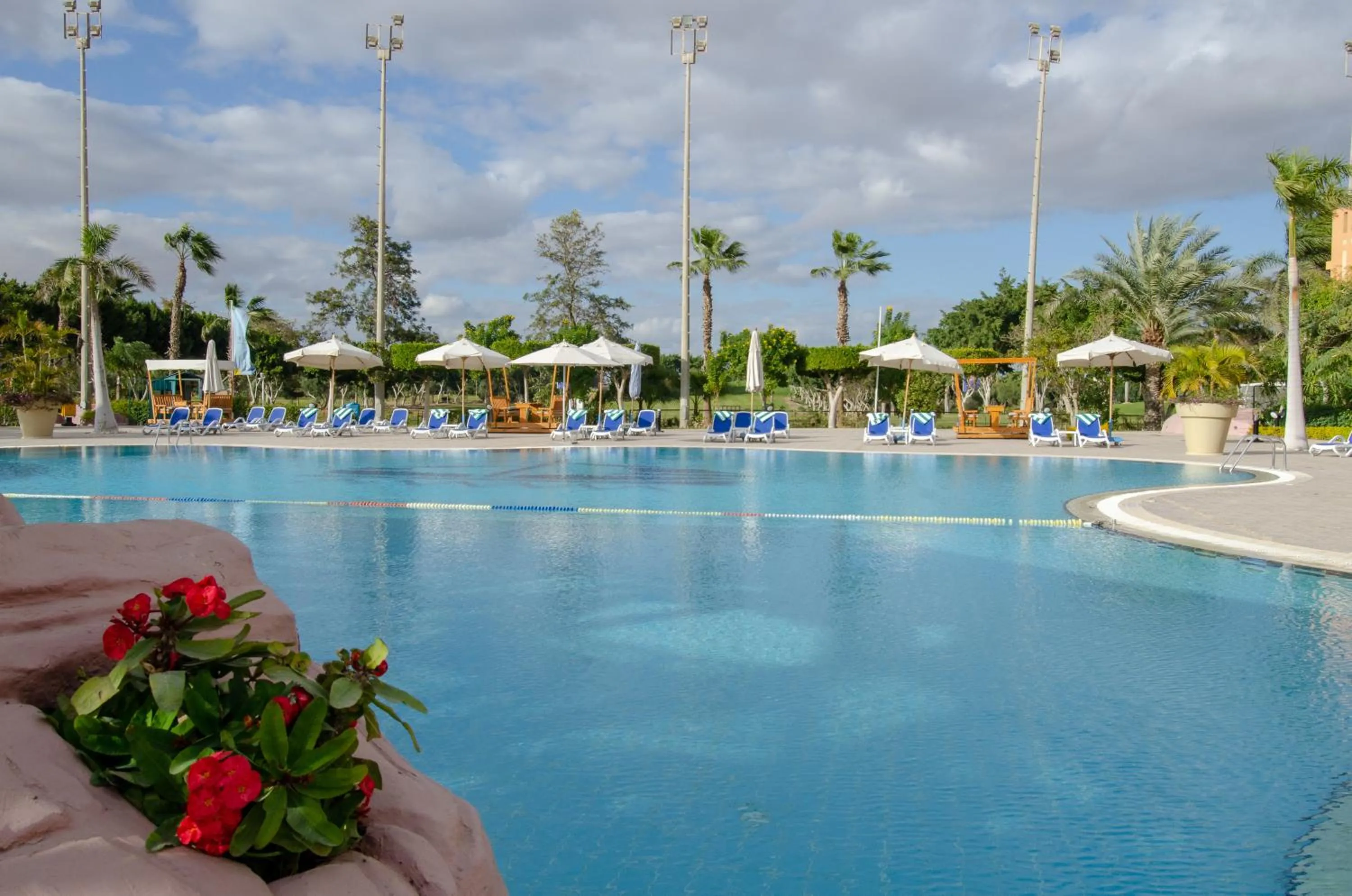 Swimming pool in Swiss Inn Pyramids Golf Resort