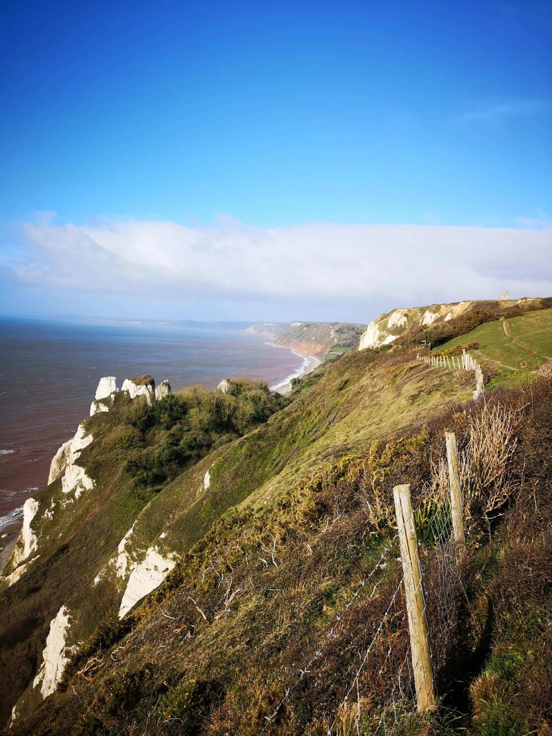 Natural landscape in Durham House