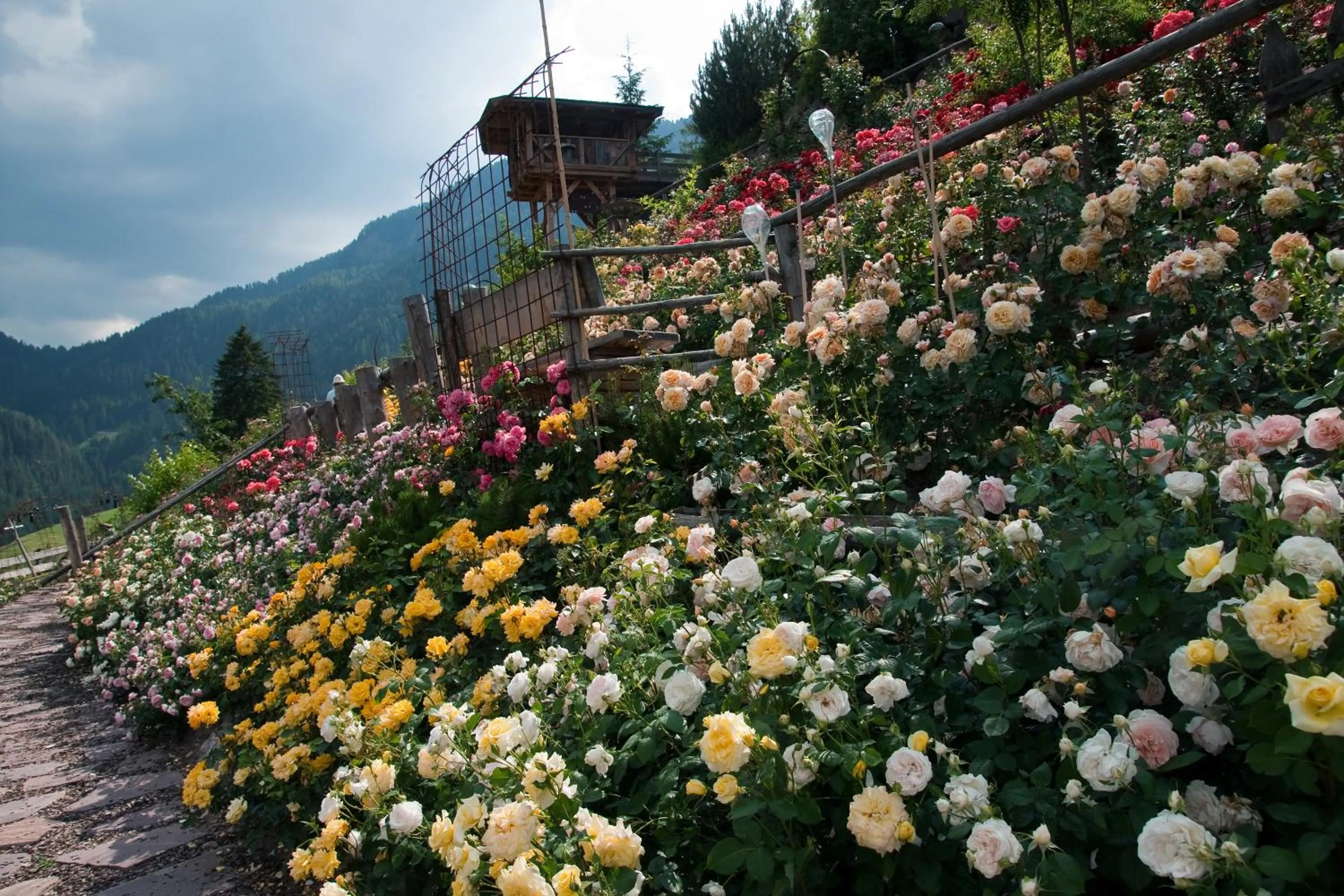 Garden view in Charmehotel Uhrerhof - Deur