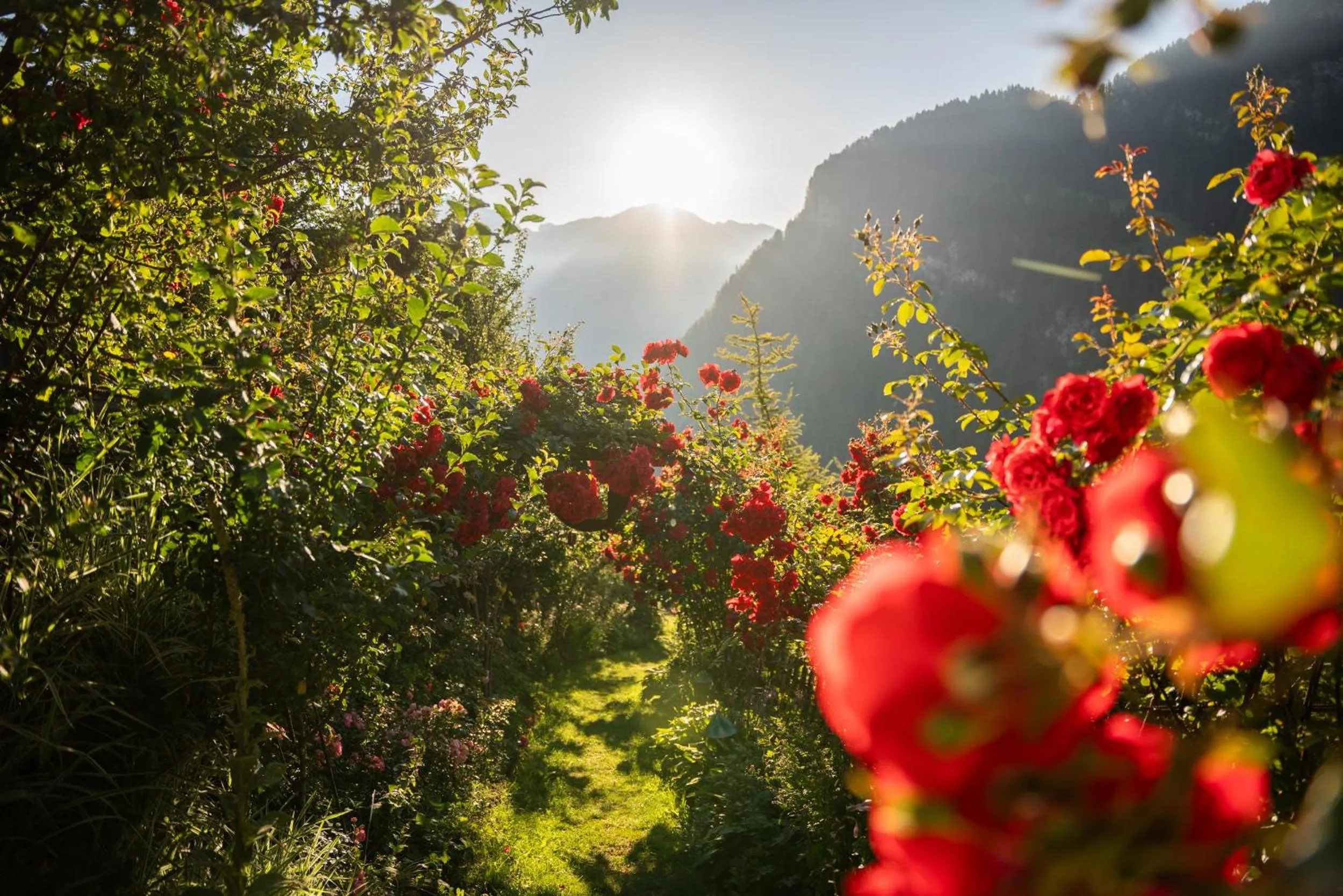 Garden in Charmehotel Uhrerhof - Deur