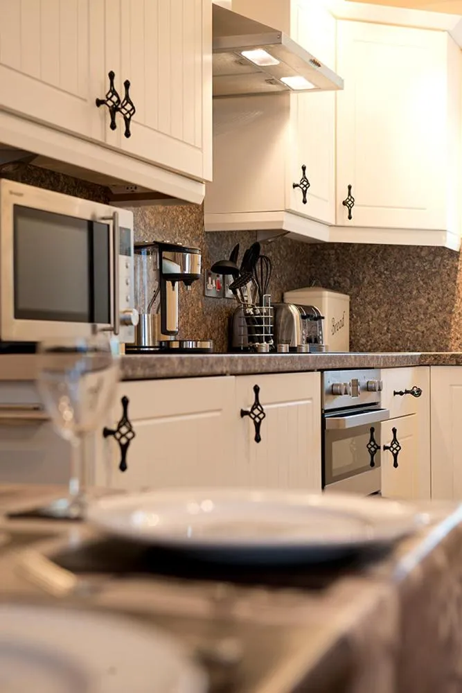 Kitchen or kitchenette in Trelawne Manor Holiday Park