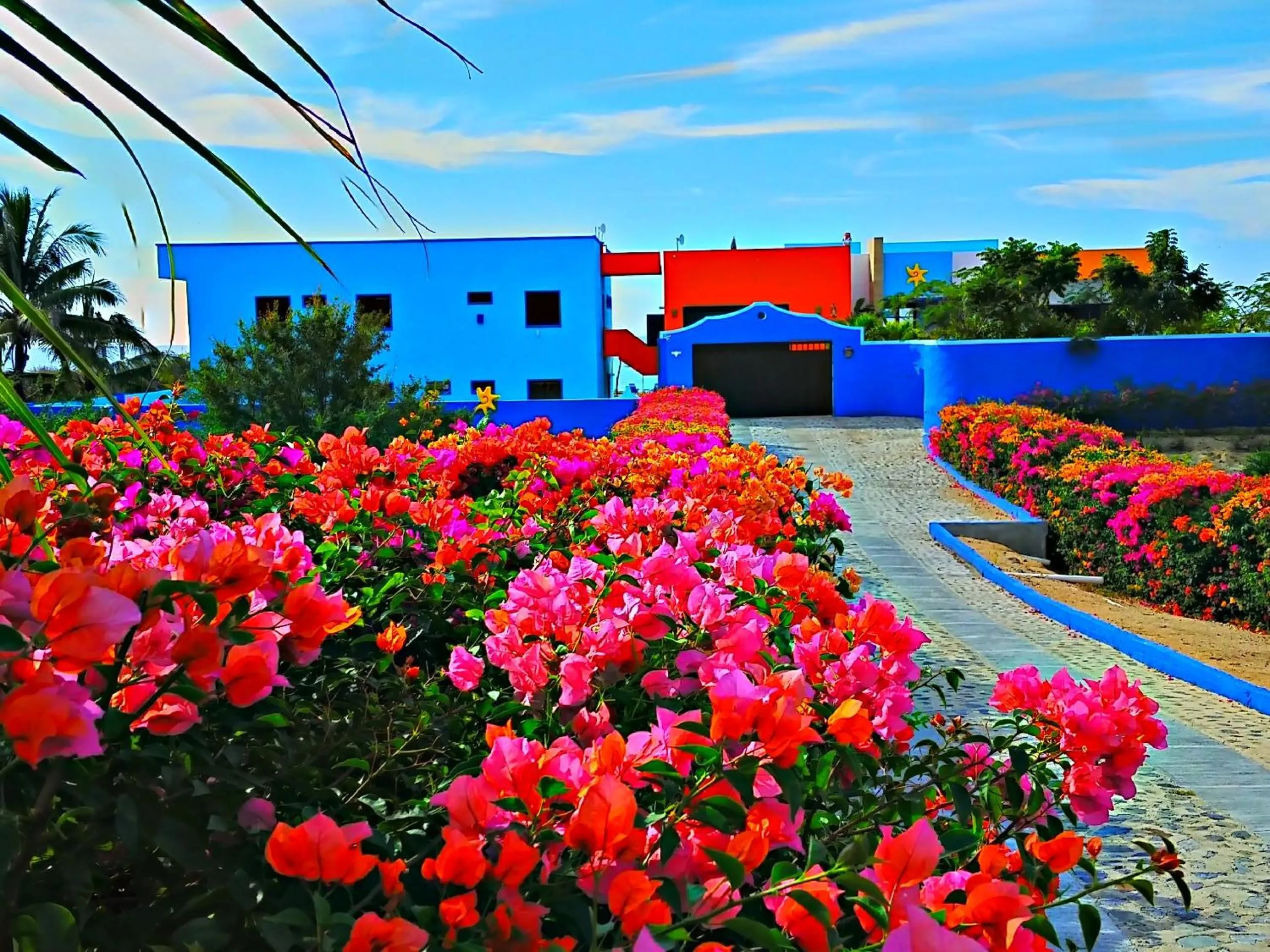 Garden in Villa Star of the Sea