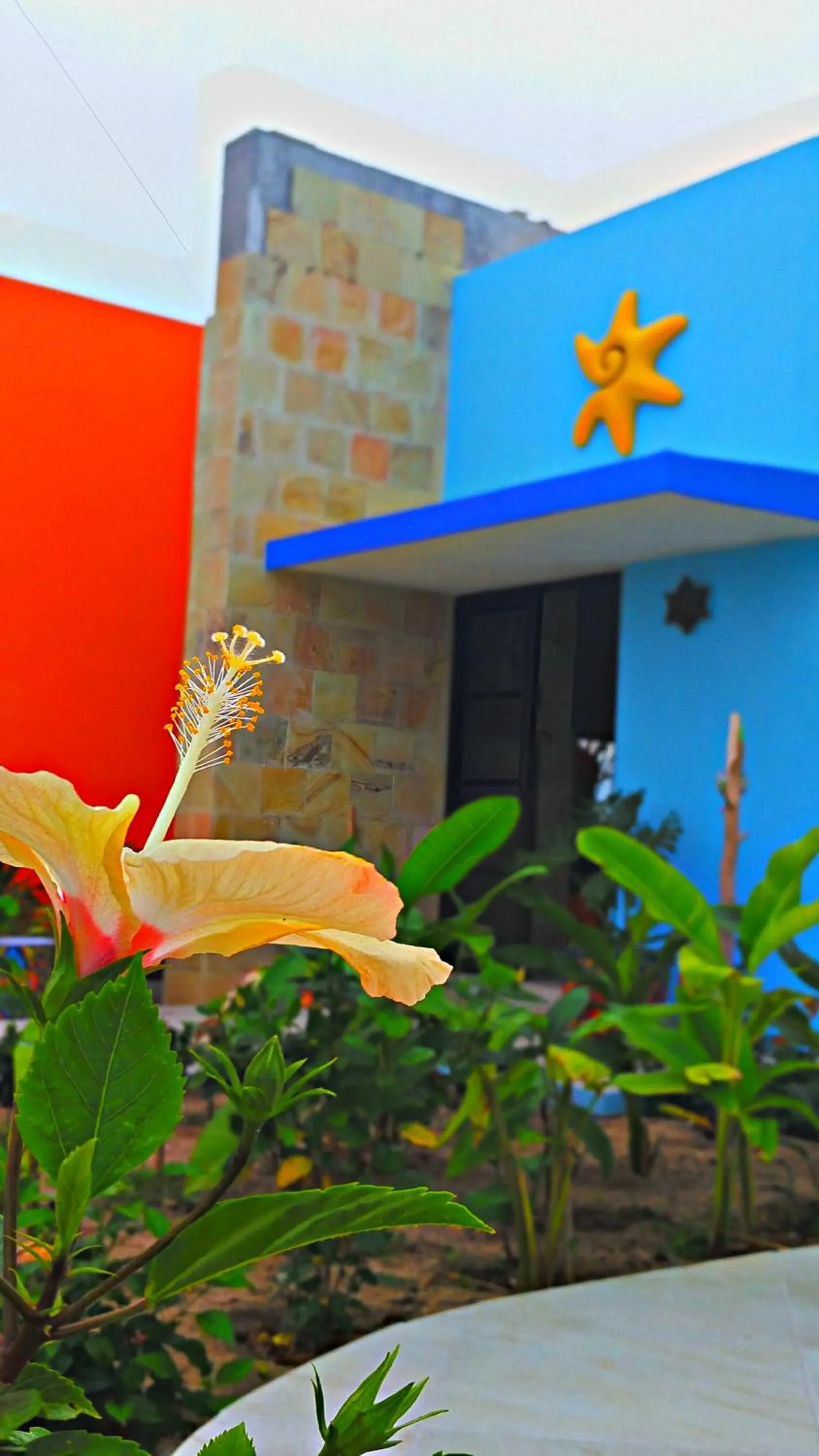 Property building in Villa Star of the Sea