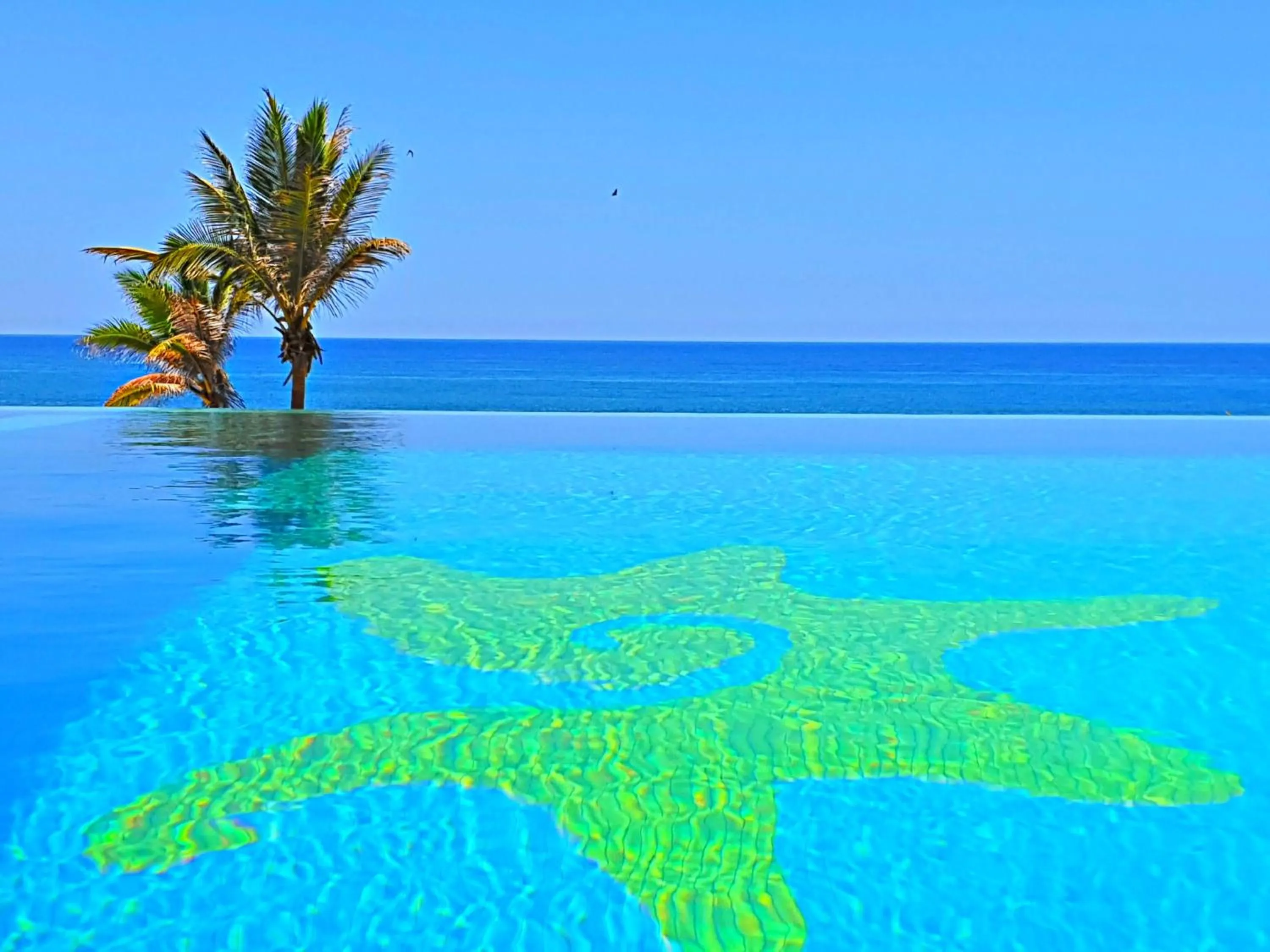 Swimming pool in Villa Star of the Sea