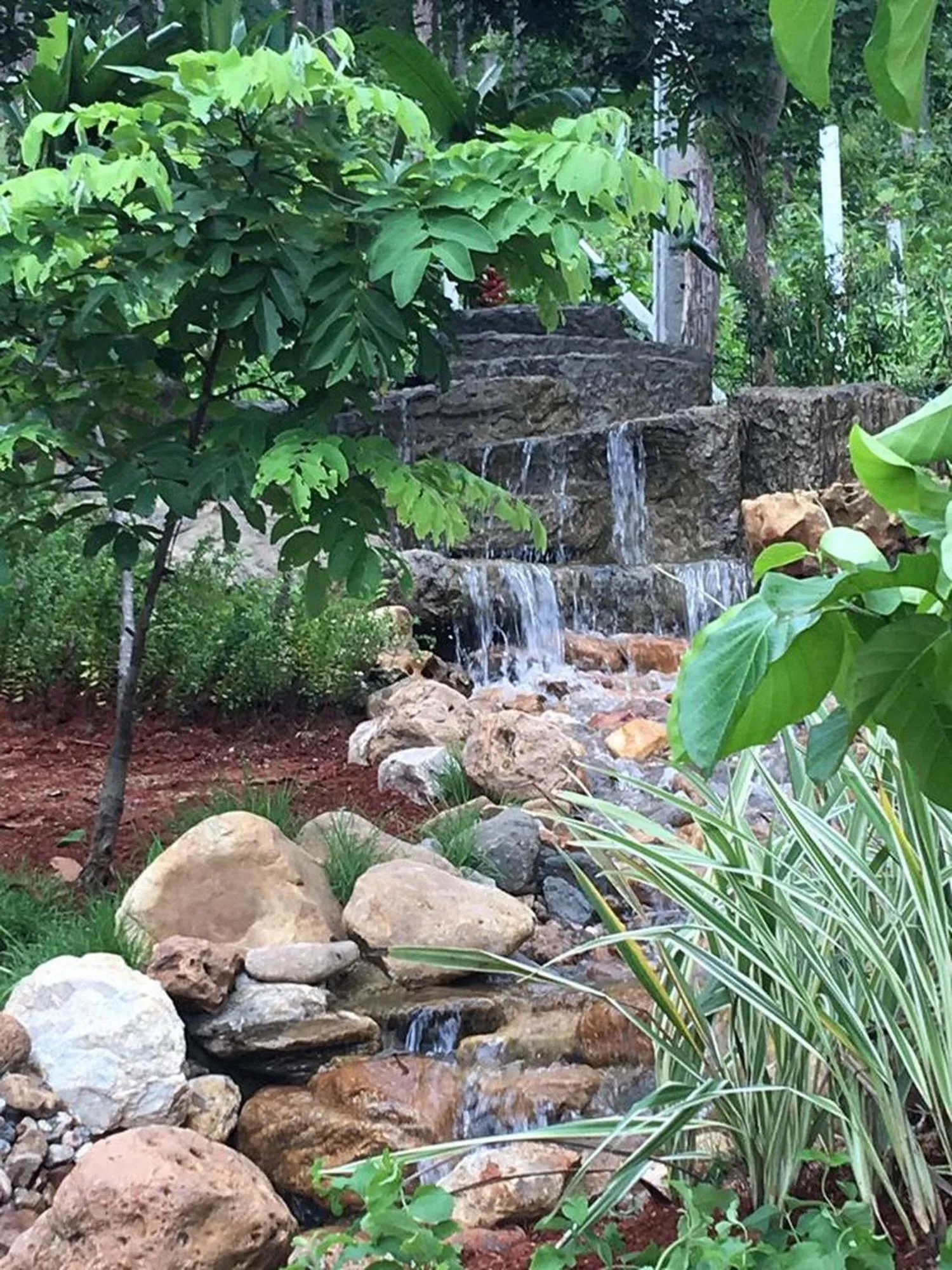 Garden view in Phu Pha View Doi