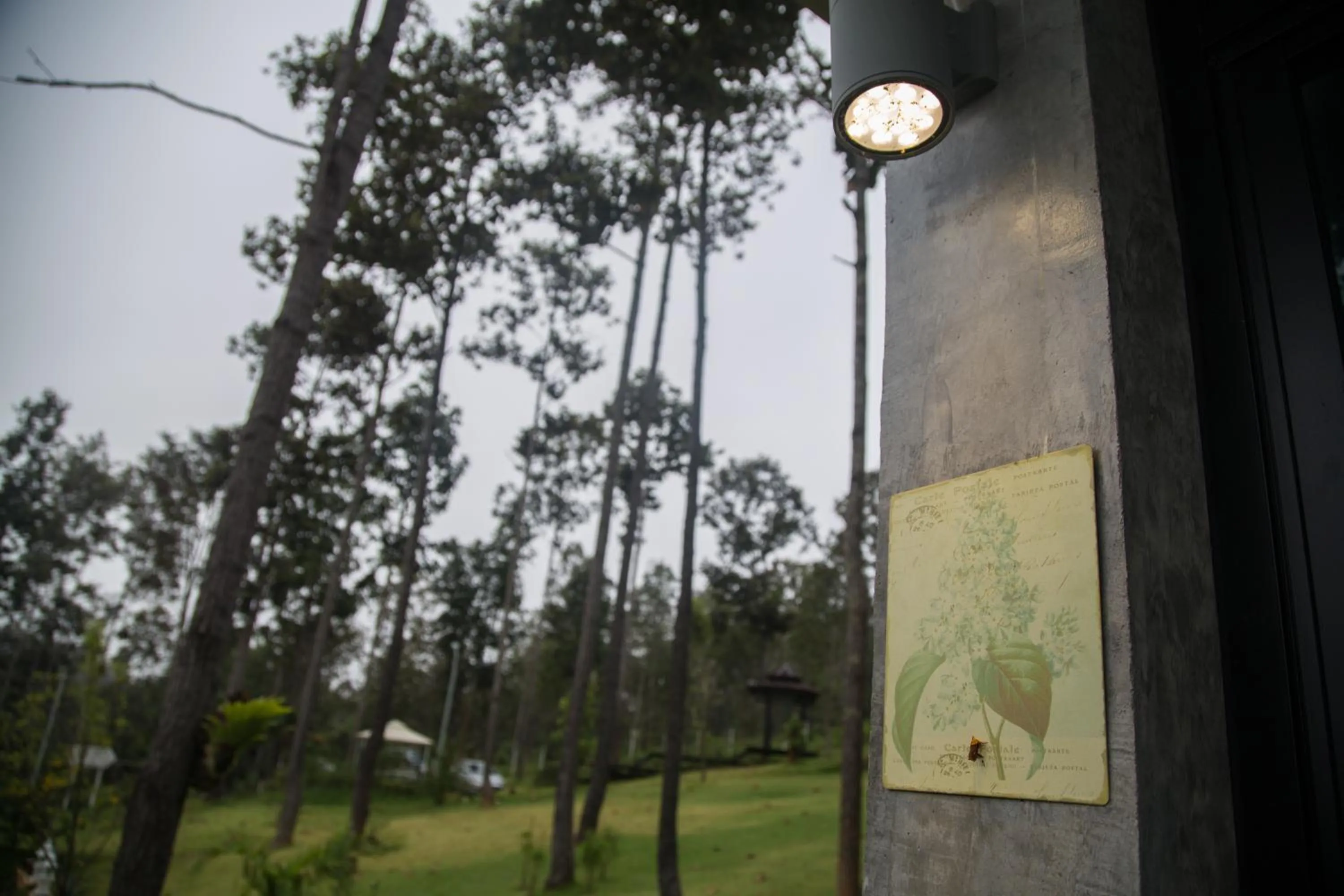 Property building in Phu Pha View Doi