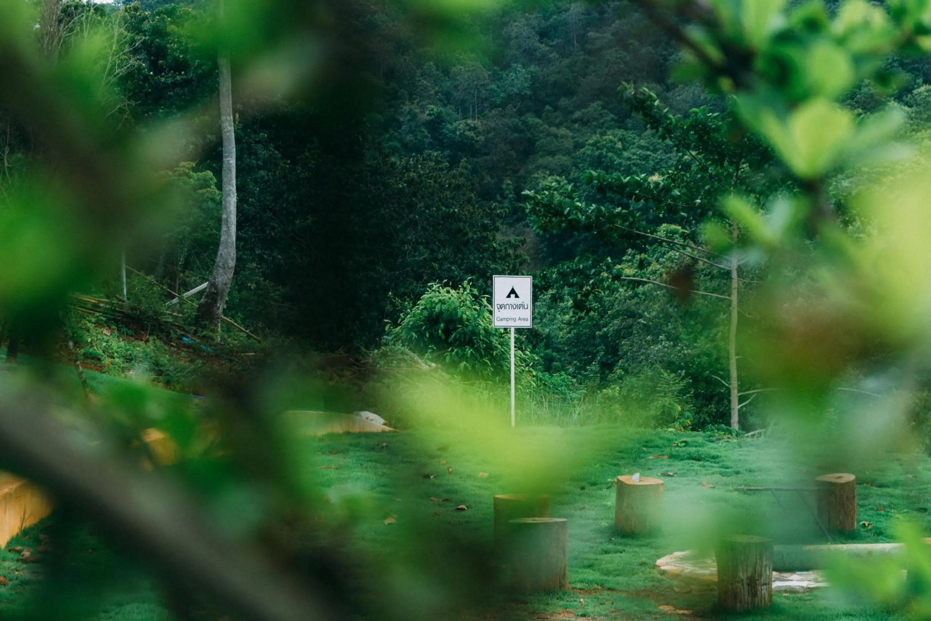 Activities in Phu Pha View Doi