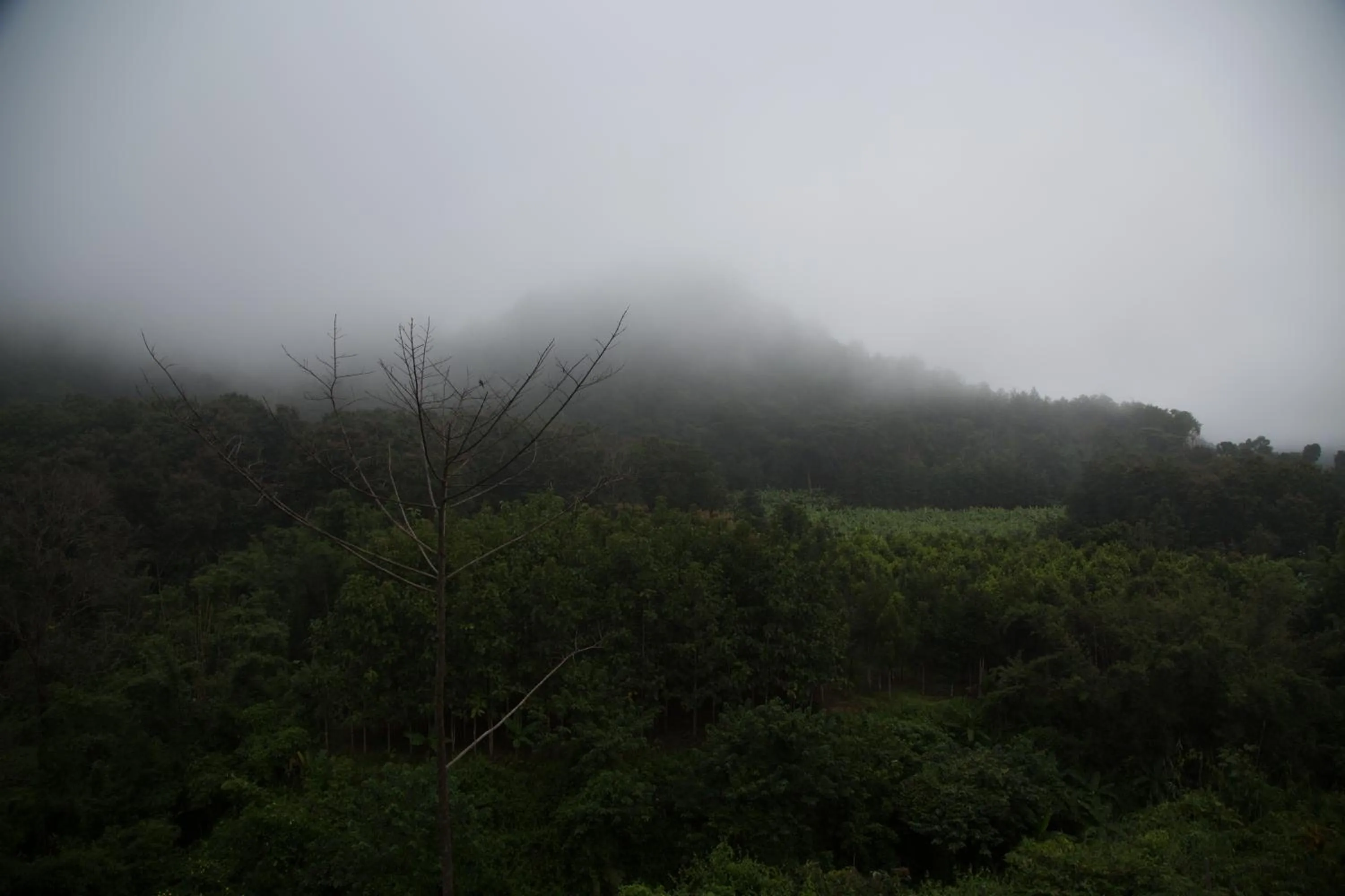Natural landscape in Phu Pha View Doi
