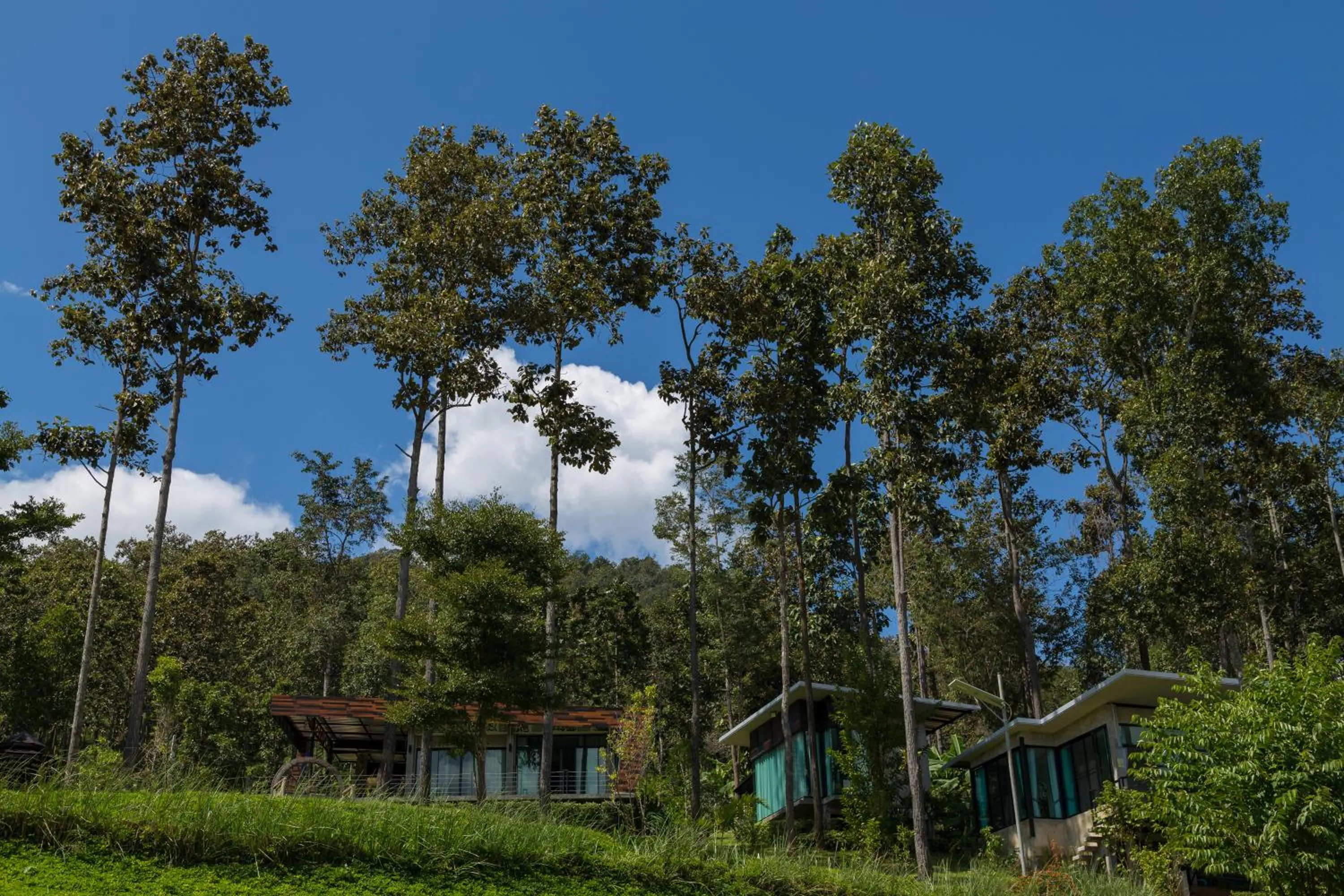 Property building in Phu Pha View Doi