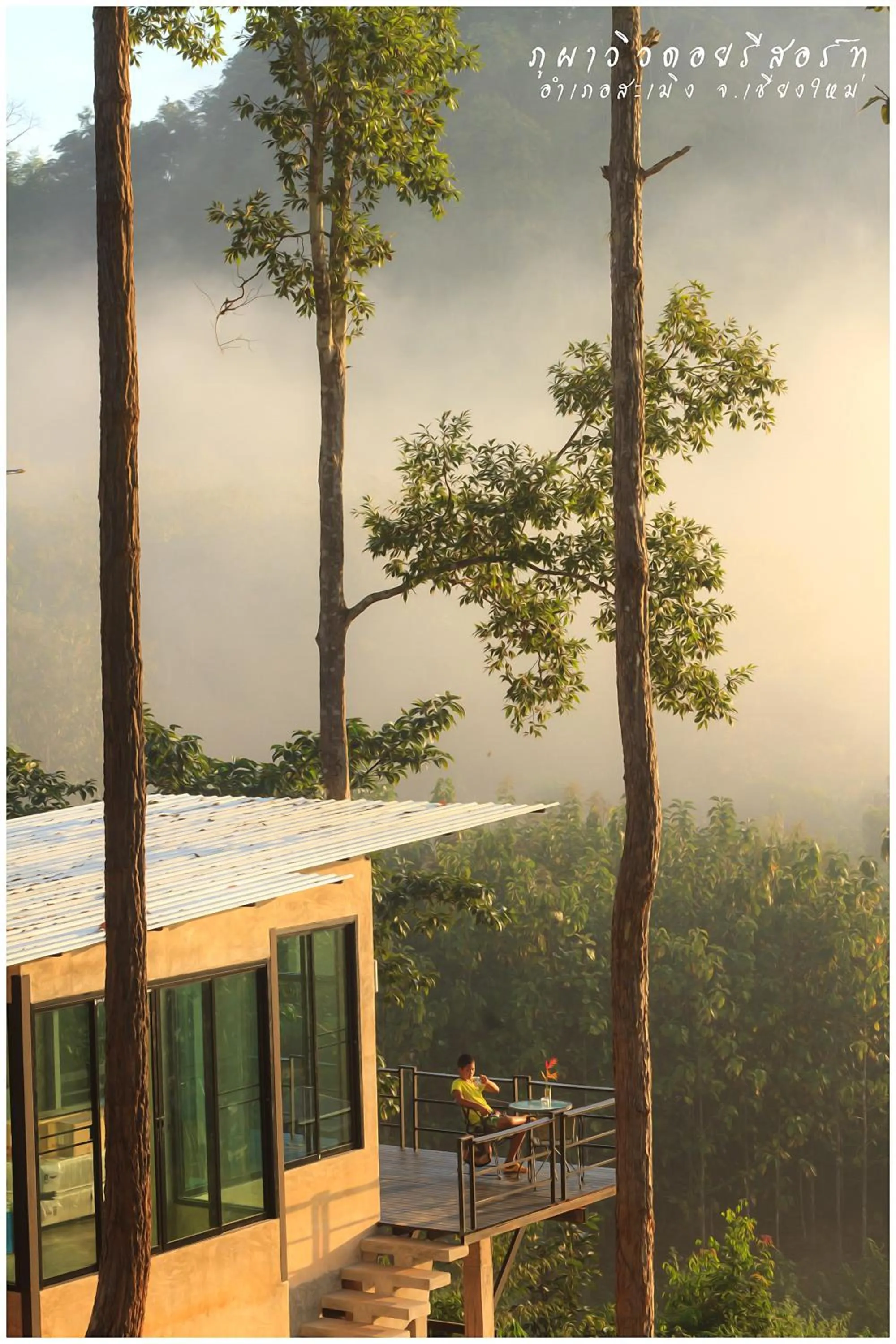 Bird's eye view in Phu Pha View Doi