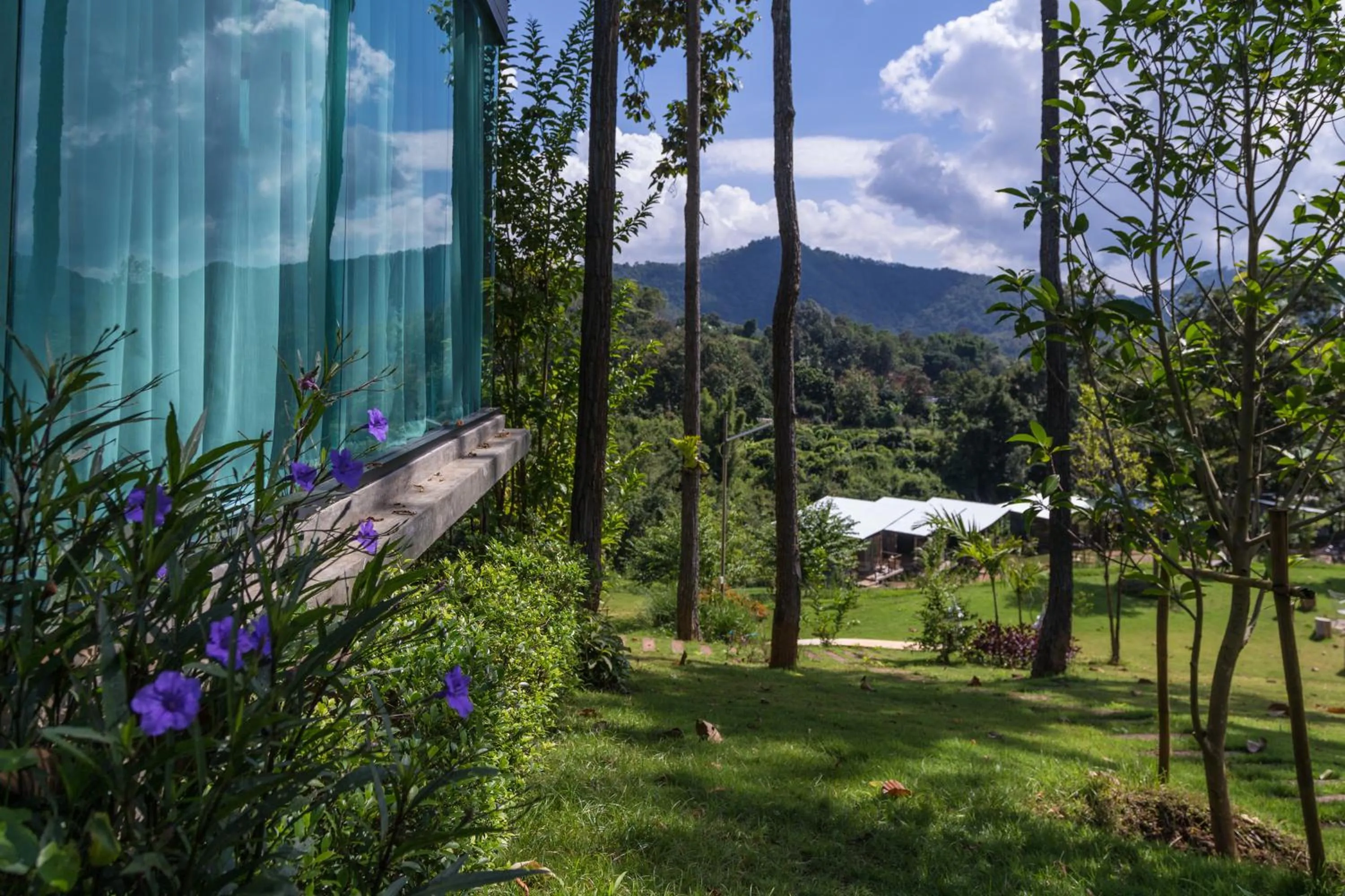 Property building in Phu Pha View Doi