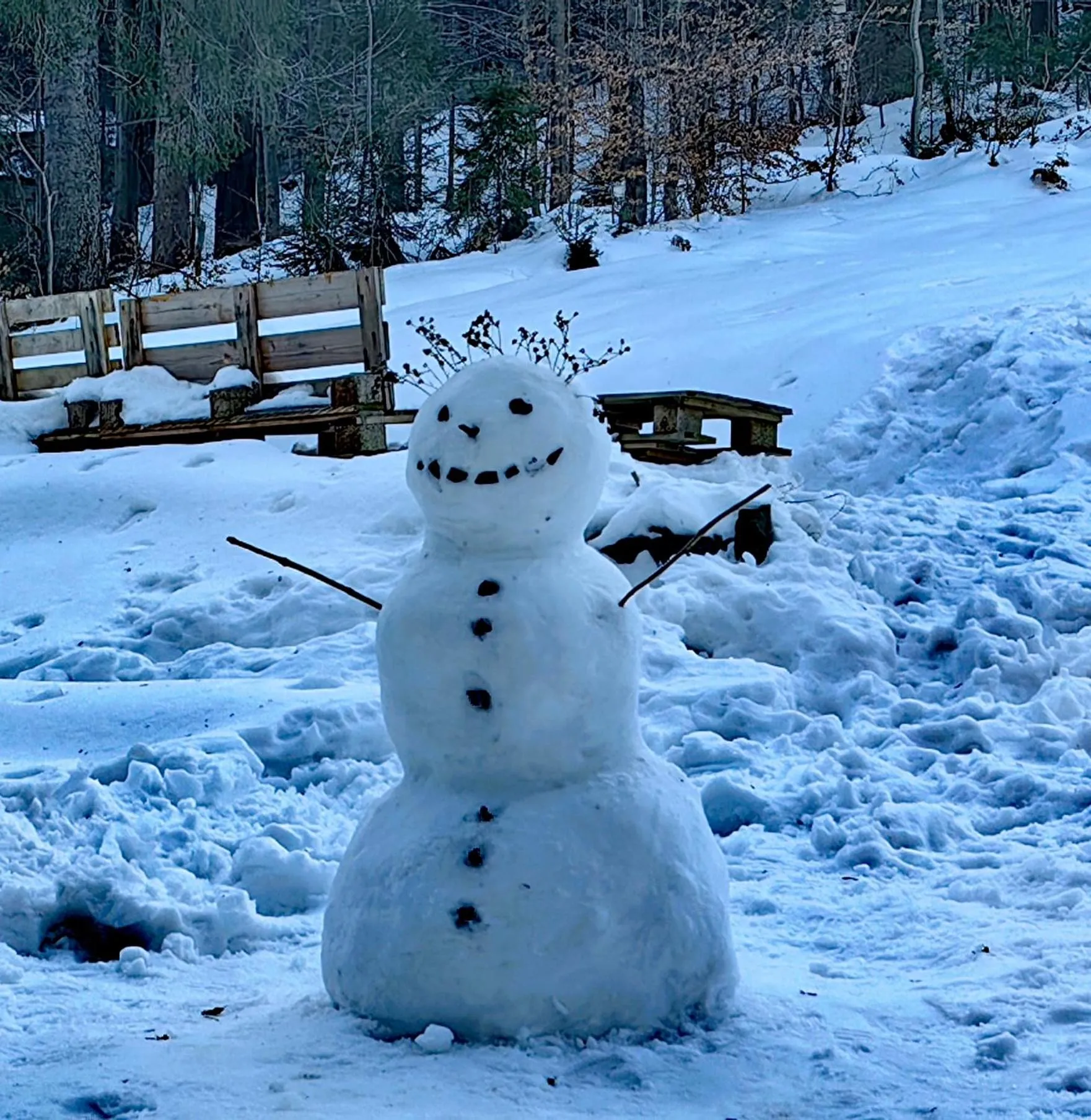 Area and facilities in Osada pod Beskidem- chatki całoroczne