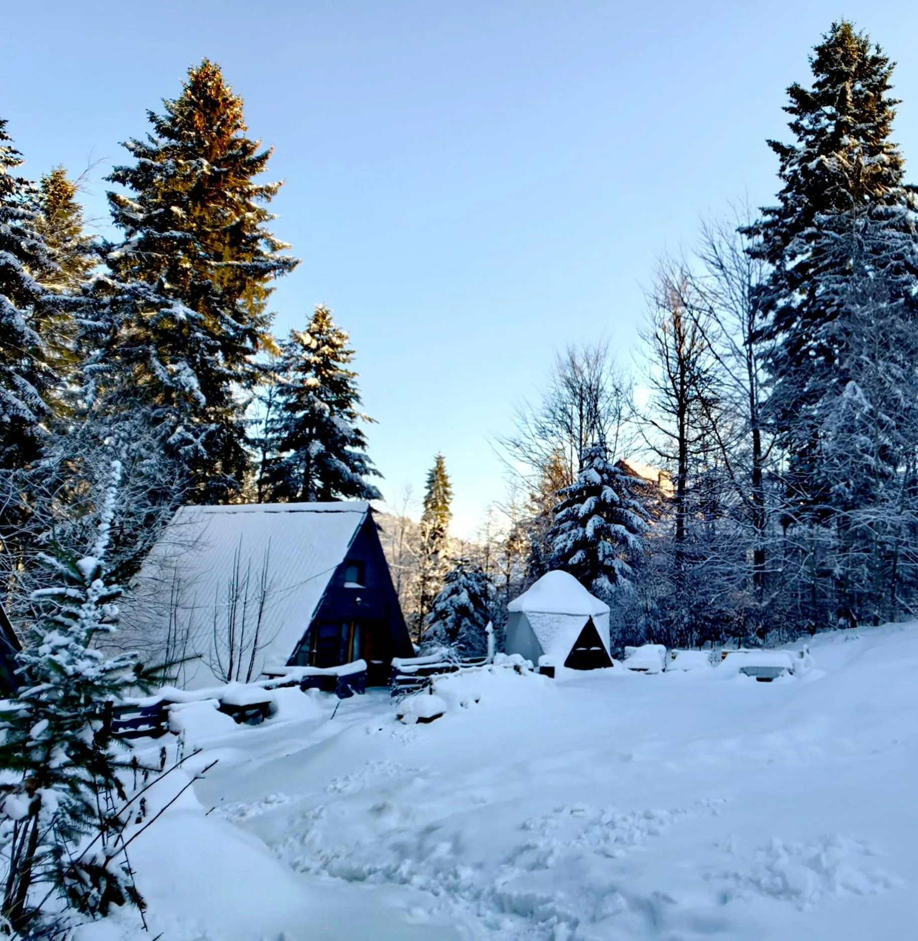 Property building in Osada pod Beskidem- chatki całoroczne