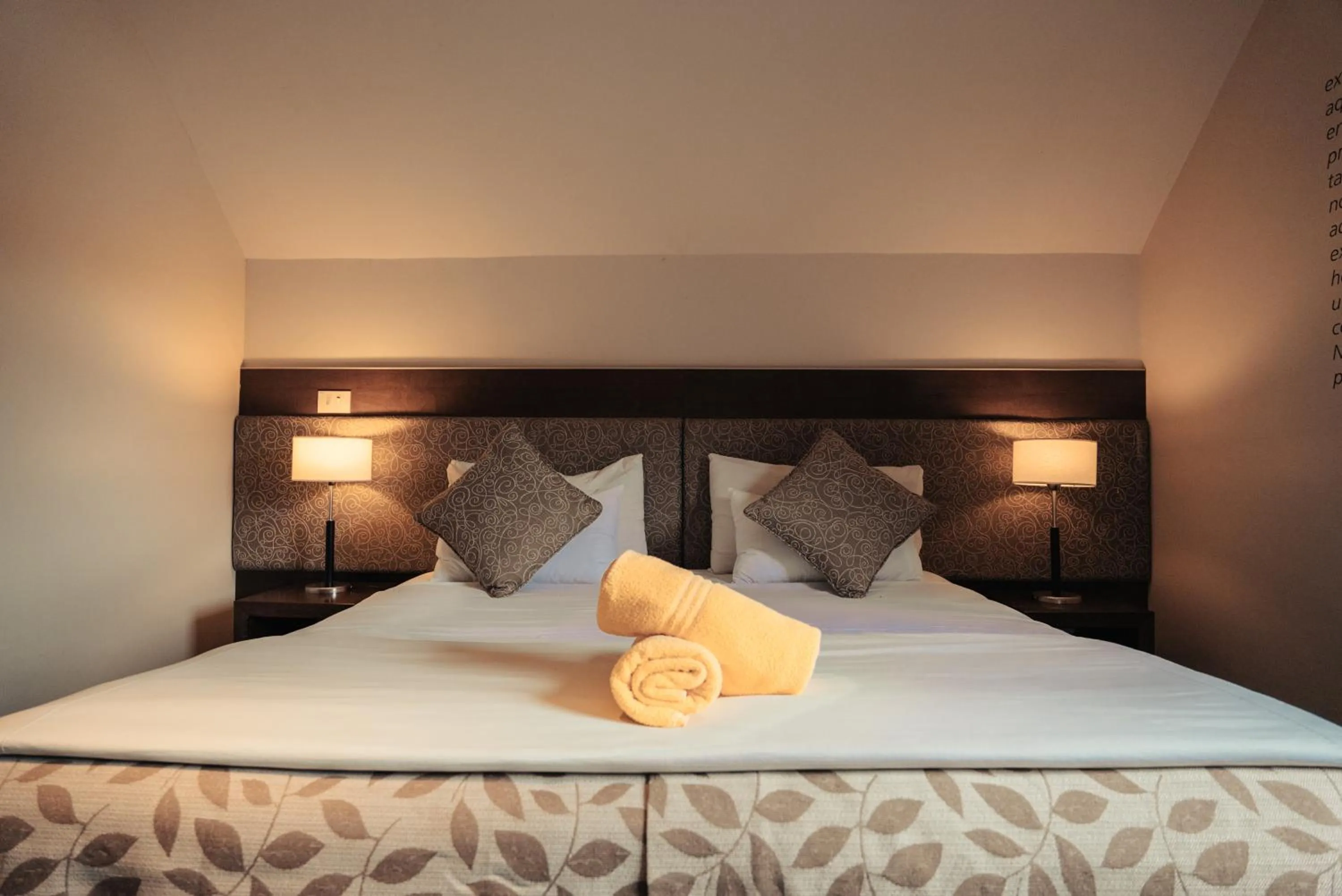 Bed in Hotel Puerto Blest