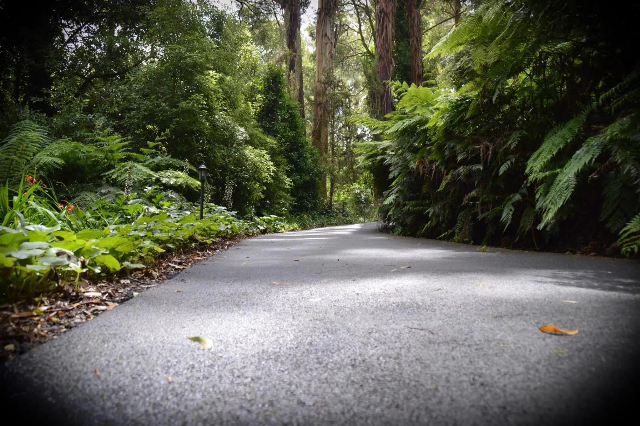 Natural landscape in Mountain Lodge