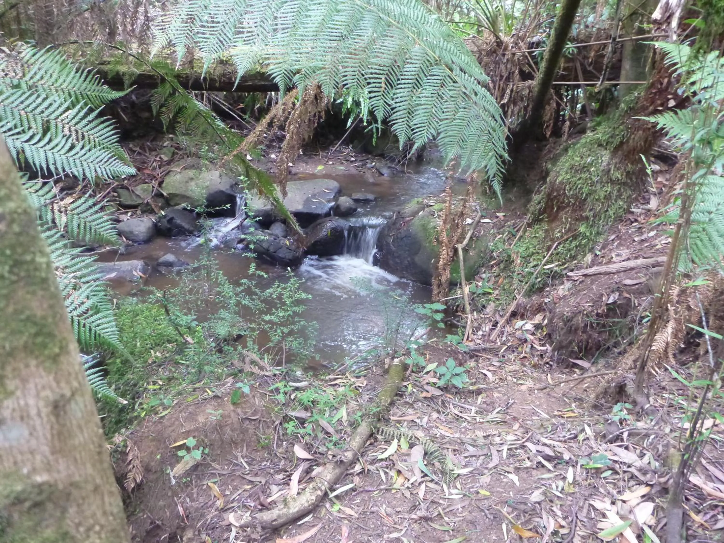 Hiking in Mountain Lodge