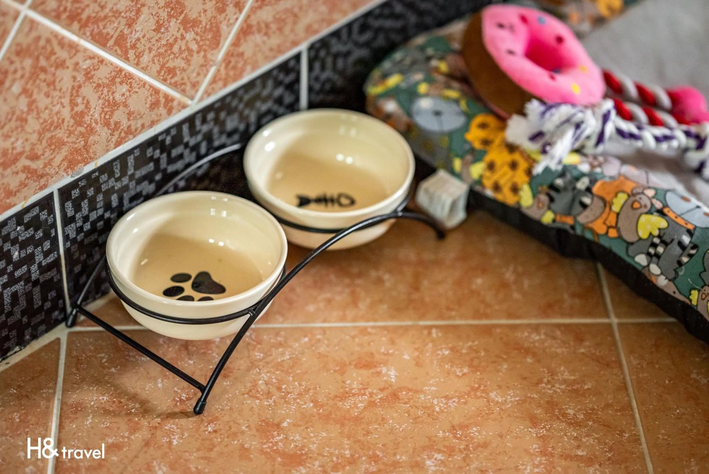 Animals in Shan Tyi Homestay