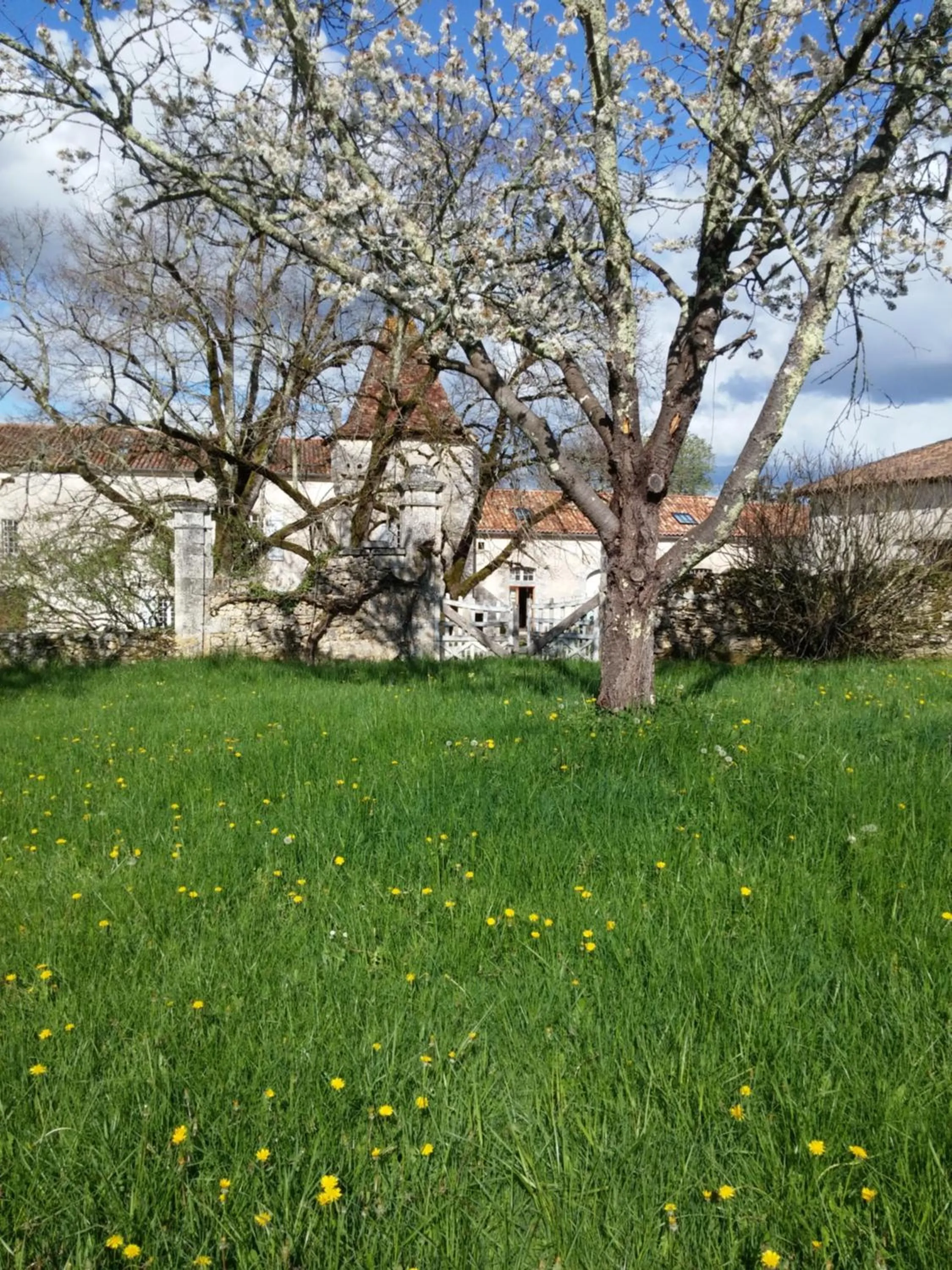 Garden view in Château de La Combe