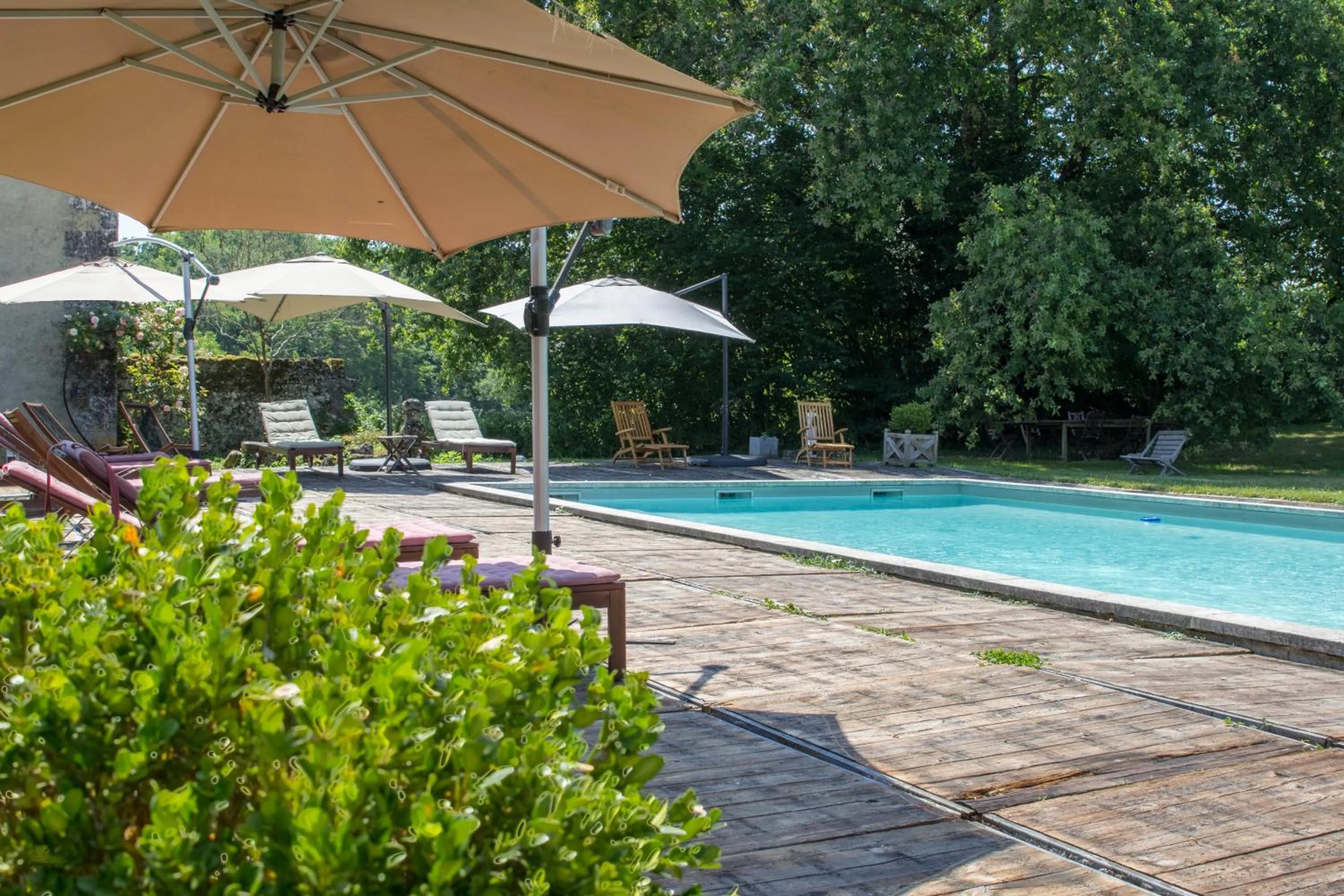 Swimming pool in Château de La Combe