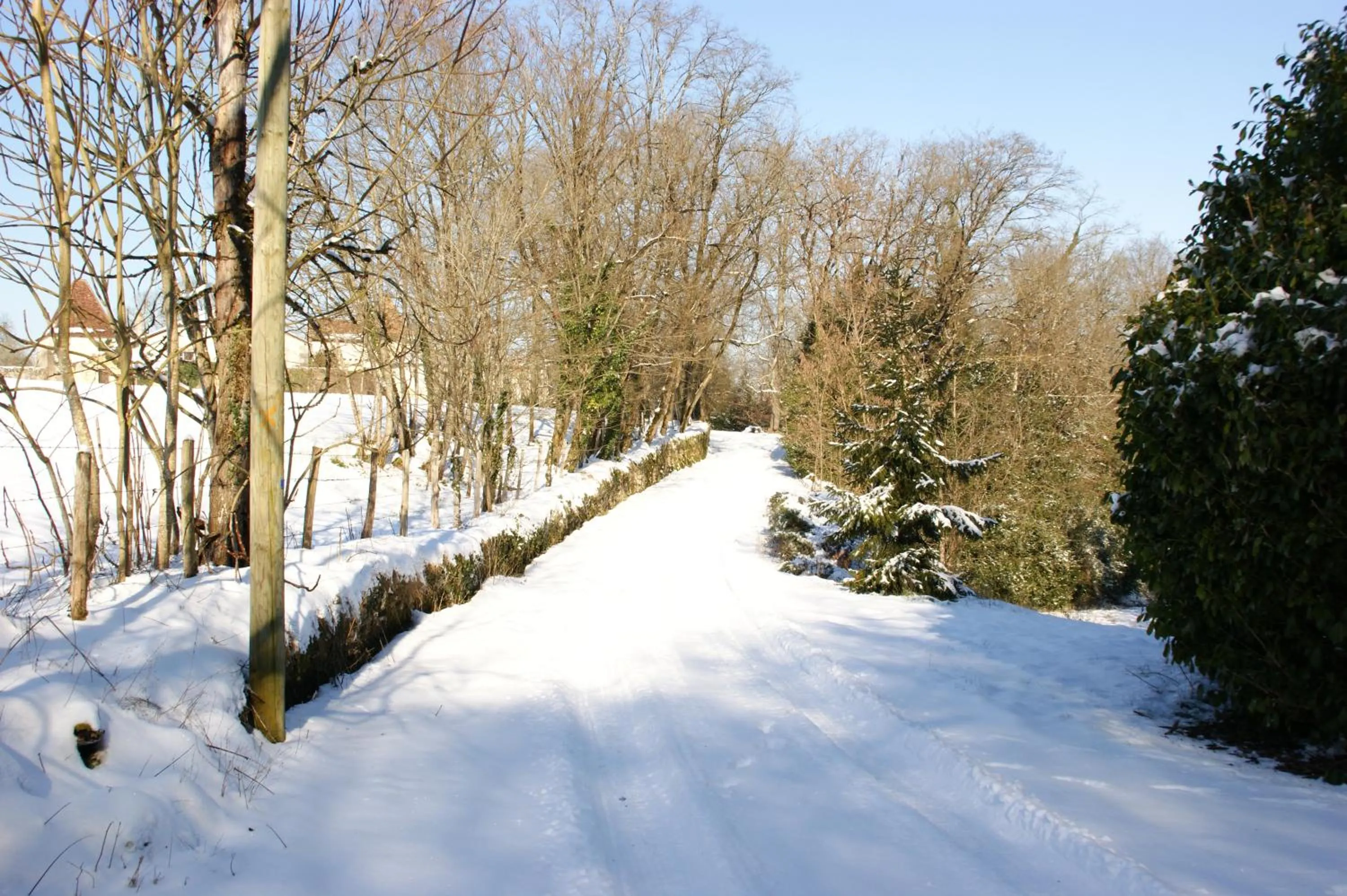 Natural landscape in Château de La Combe
