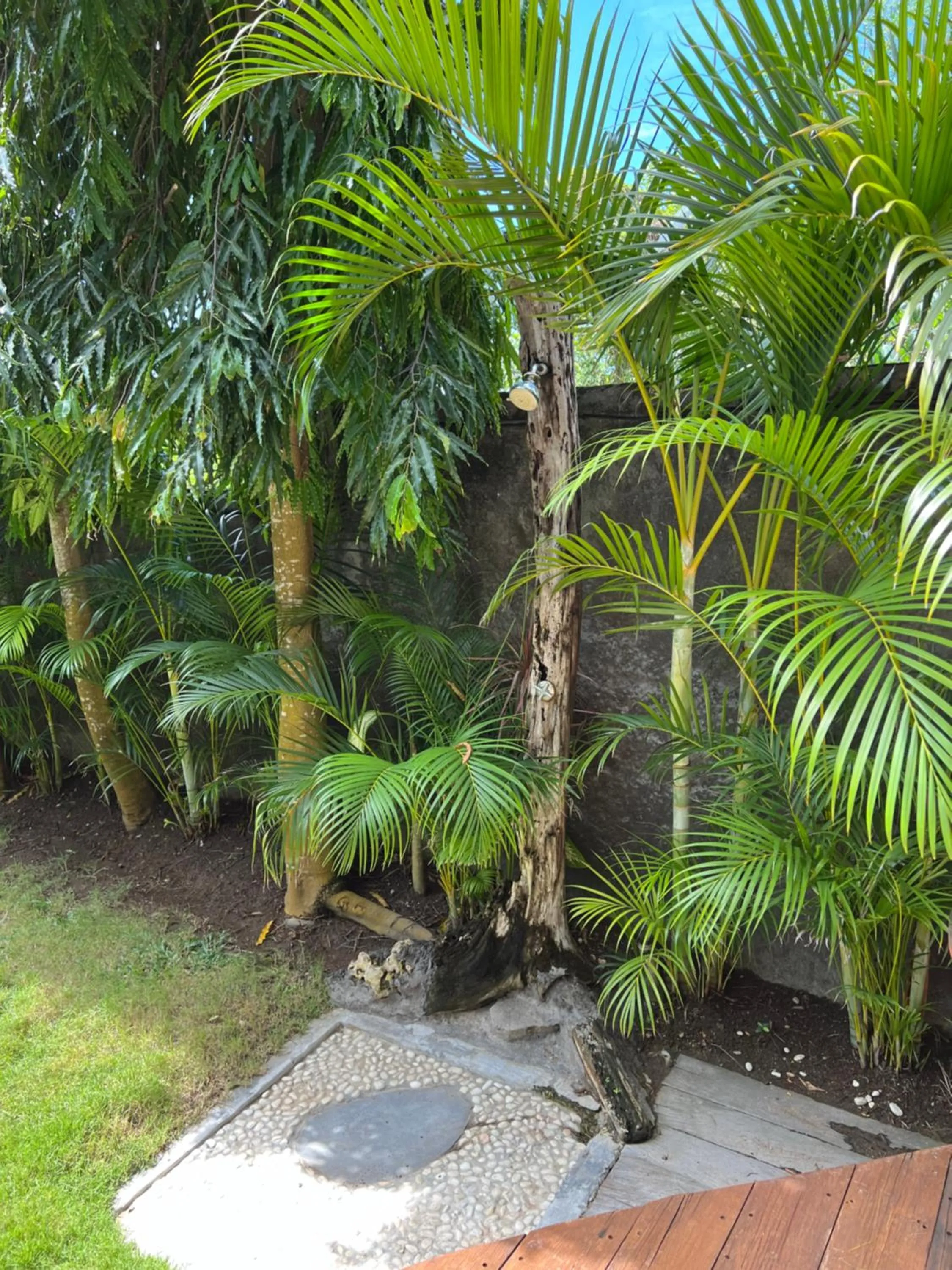 Garden in Breezy Point Villas