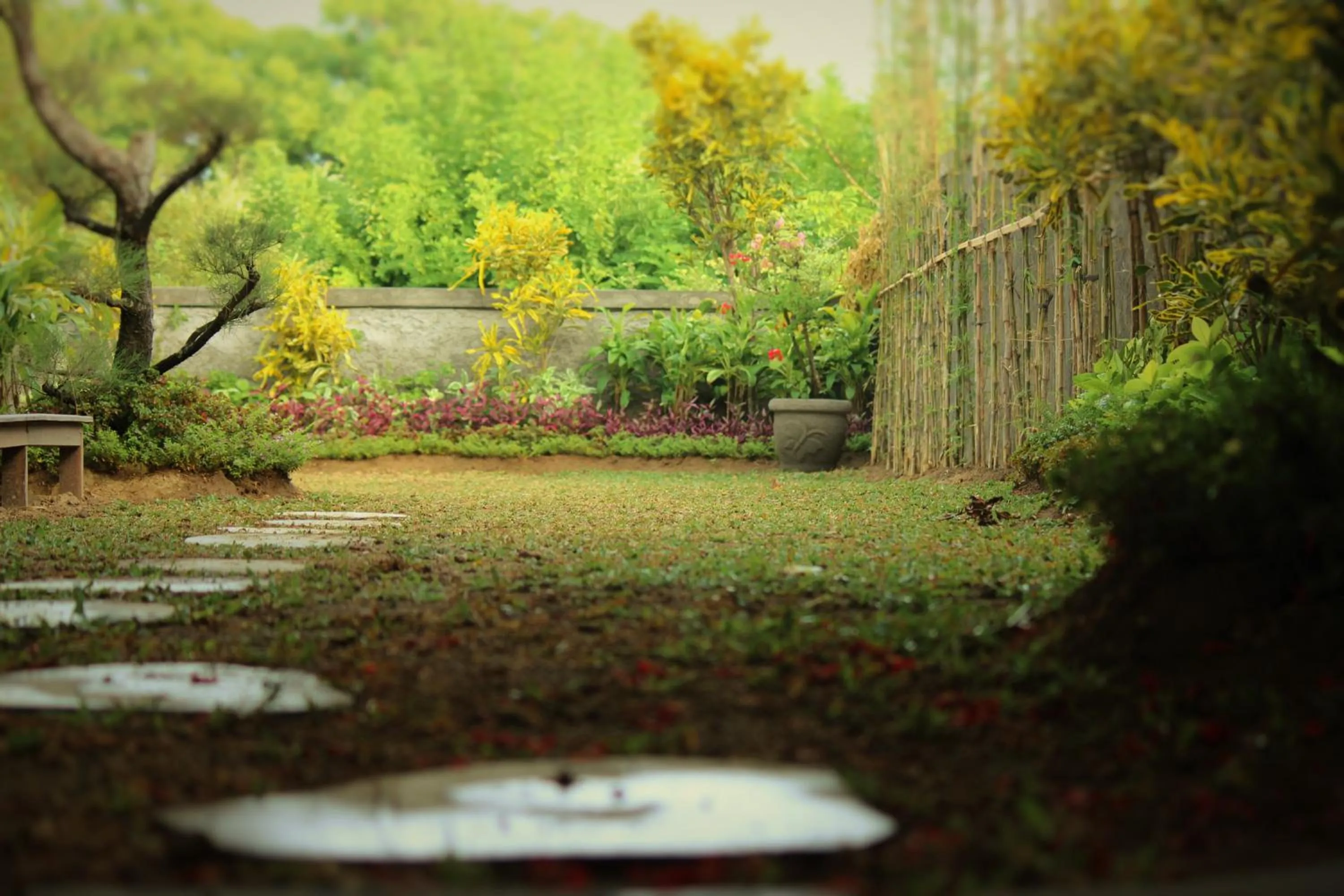 Garden in Breezy Point Villas