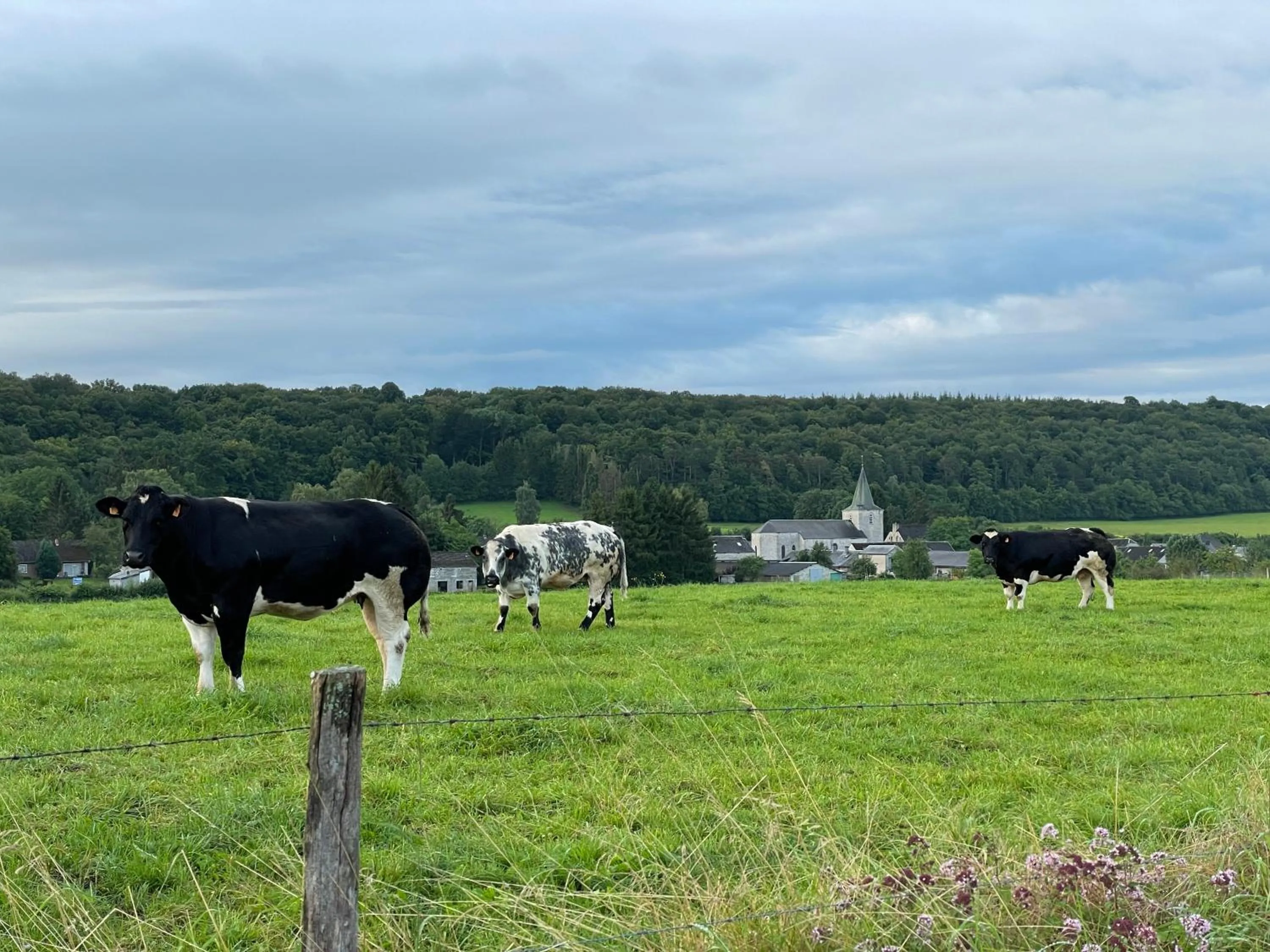 Le Temps d'une Pause