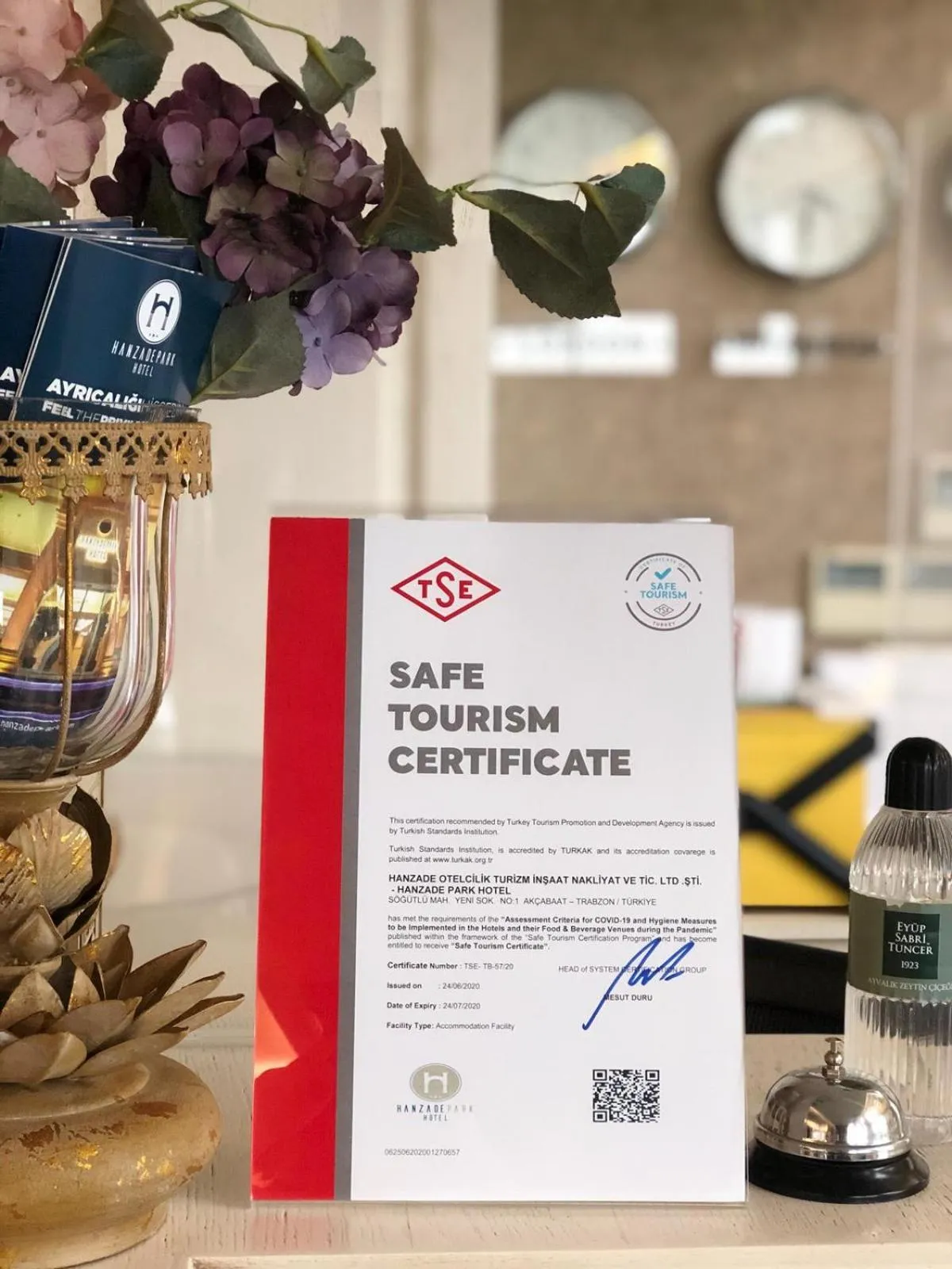 Standard Double Room with City View in Hanzade Park Hotel