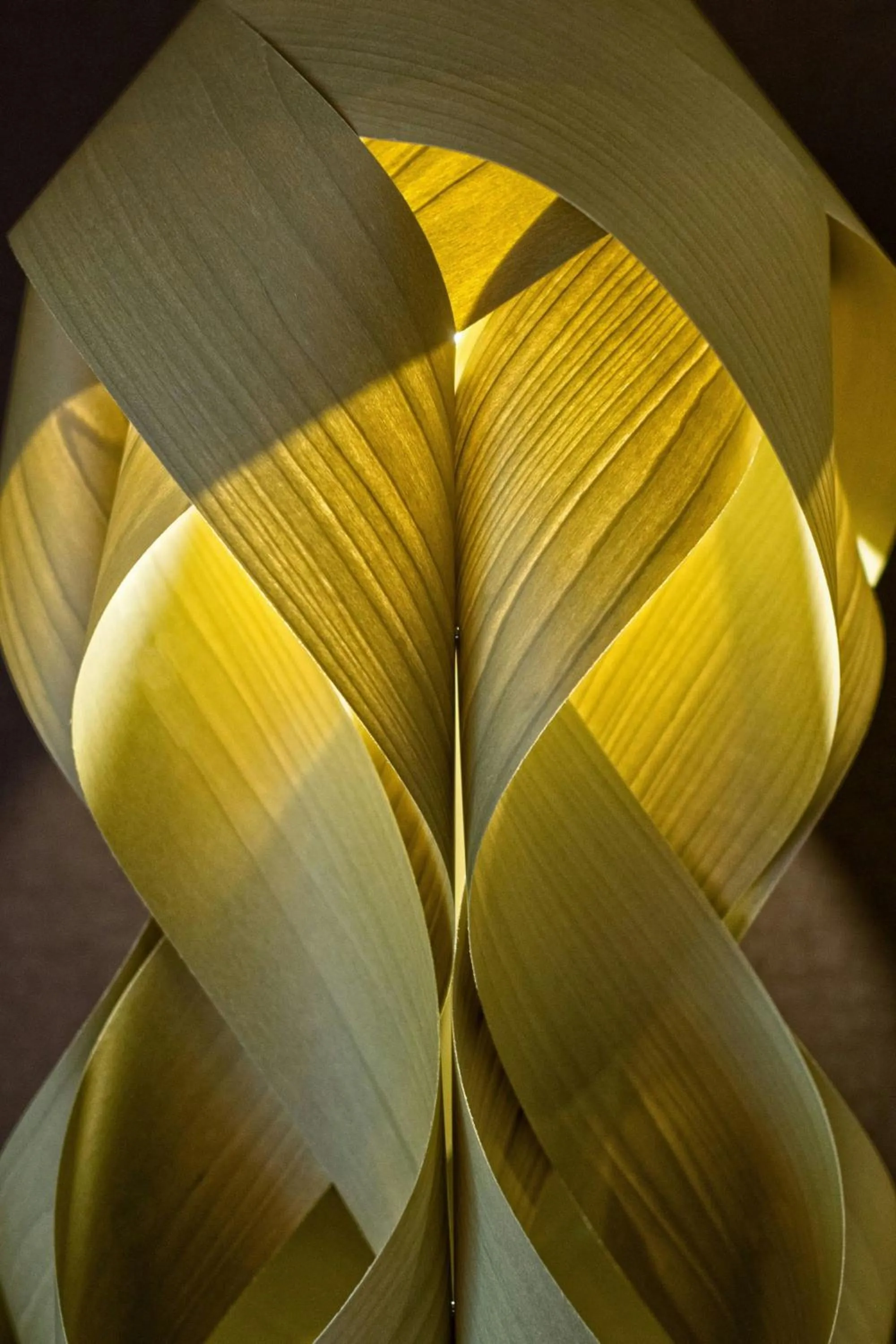 Photo of the whole room in The Ritz-Carlton Tenerife, Abama