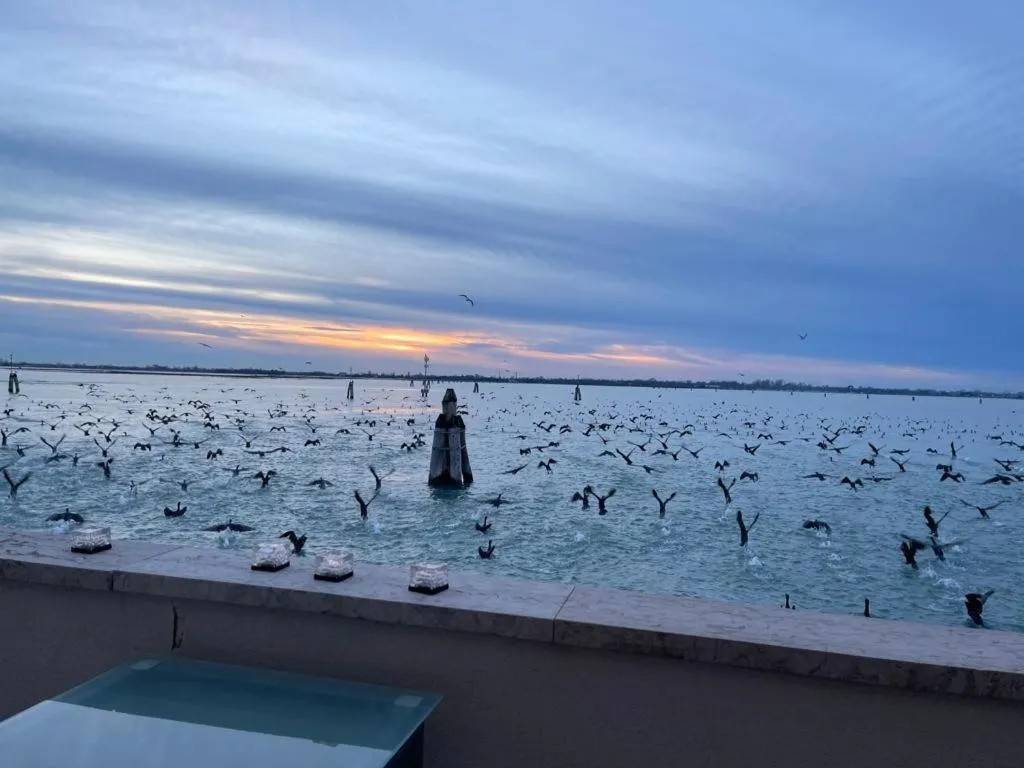 Sea view in Casa Sulla Laguna
