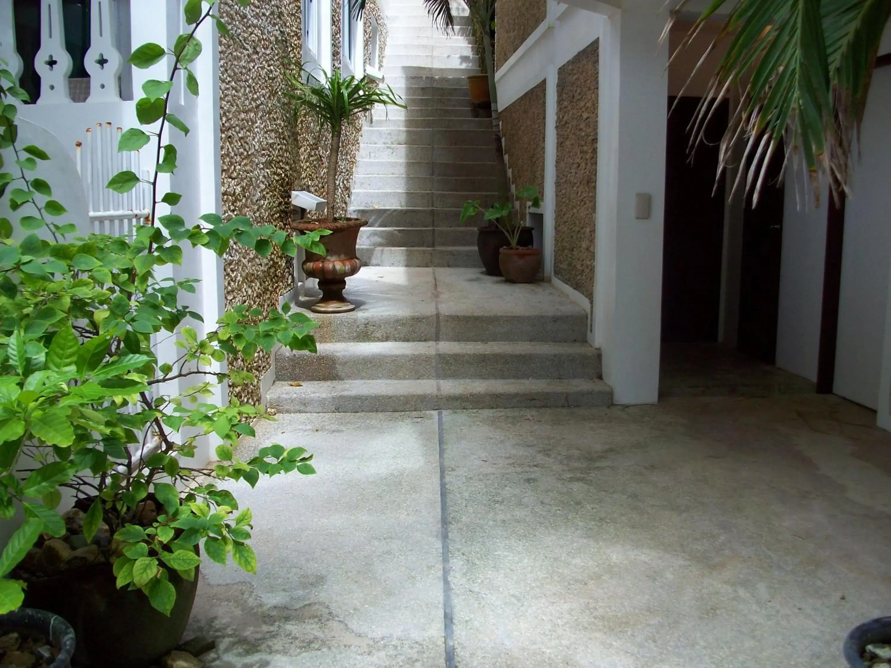 Villa with Sea View in Tropicana Ocean Villas Villa with Sea View in Tropicana Ocean Villas