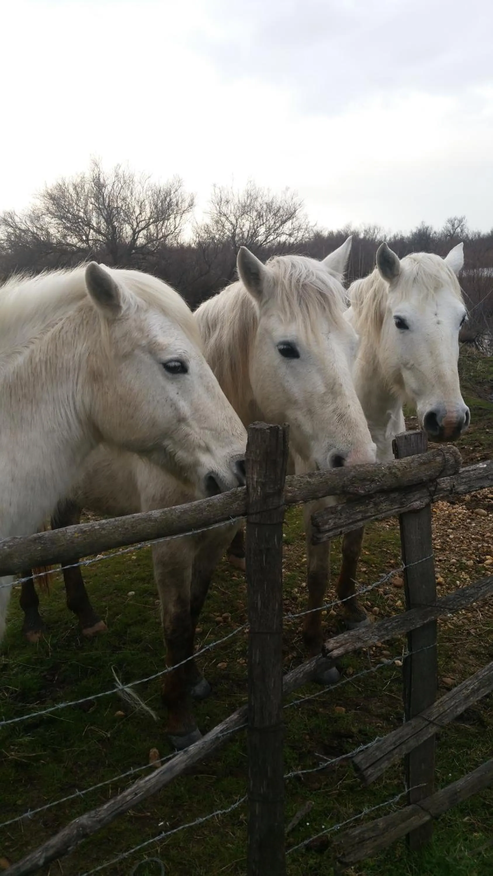 Activities in Le Clos des Aramons