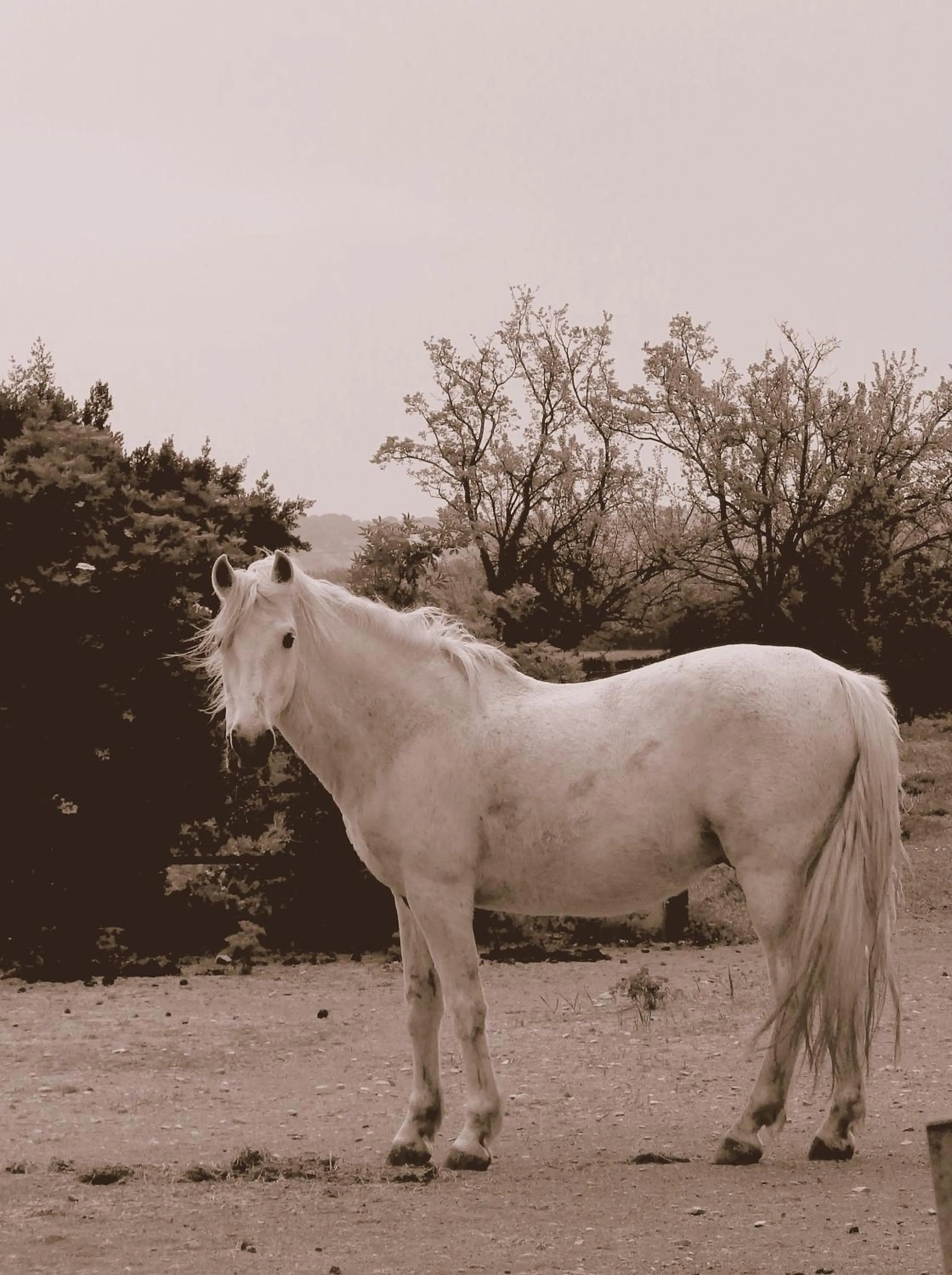 Property building in Le Clos des Aramons