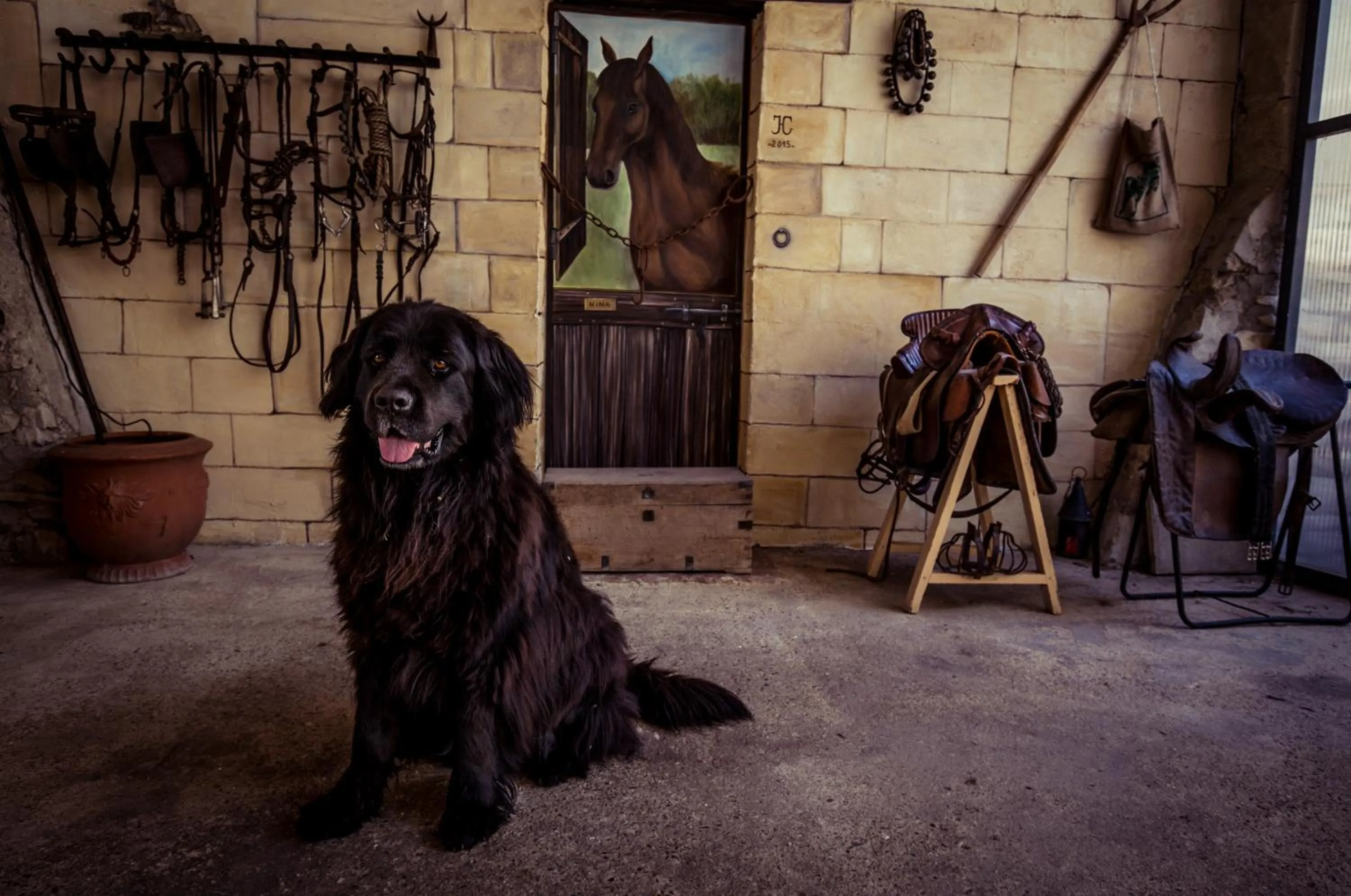 Patio in Le Clos des Aramons