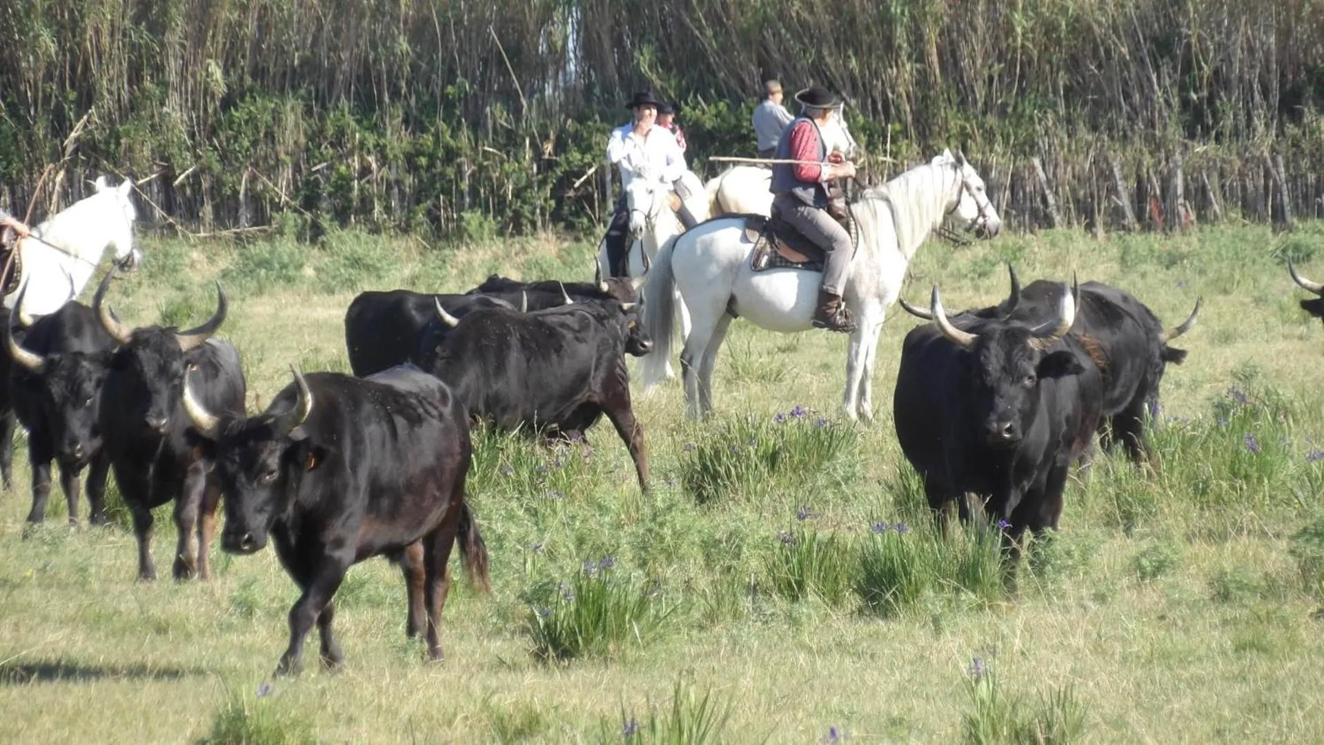 Activities in Le Clos des Aramons