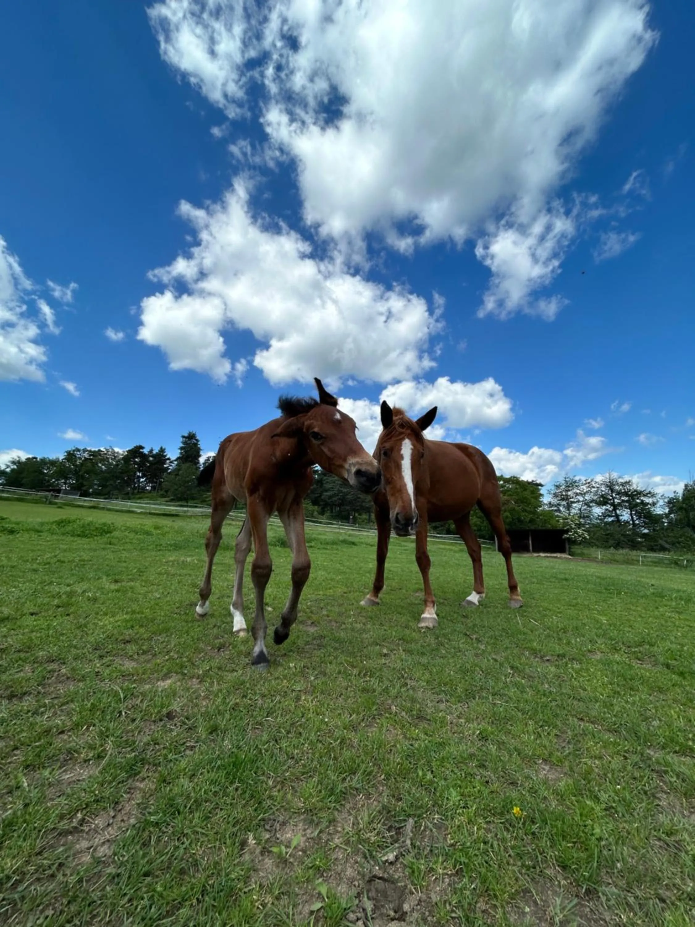 Chambres D'hotes De La Mure