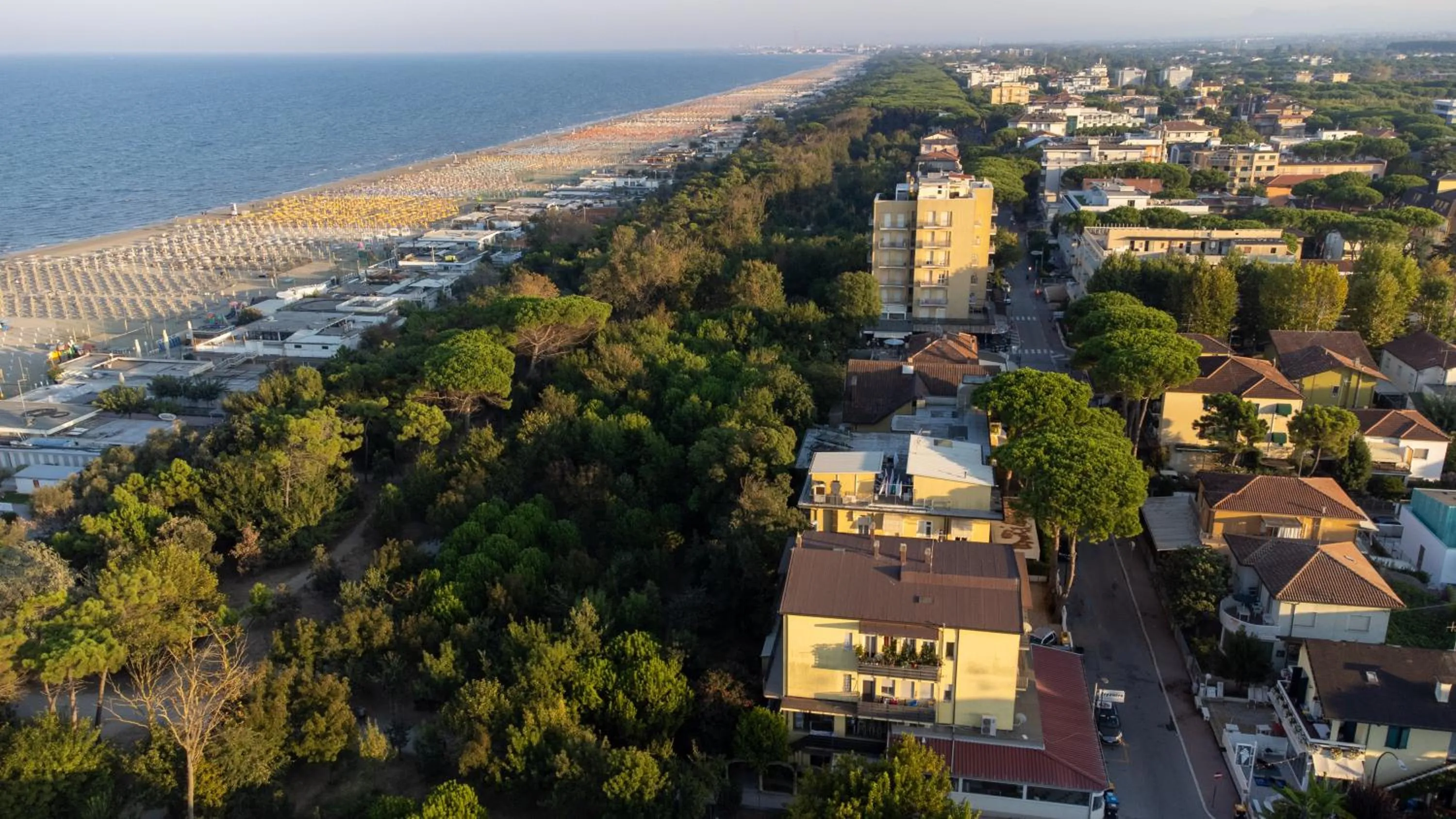Bird's eye view in Pinetina Mare Baby Family Hotel