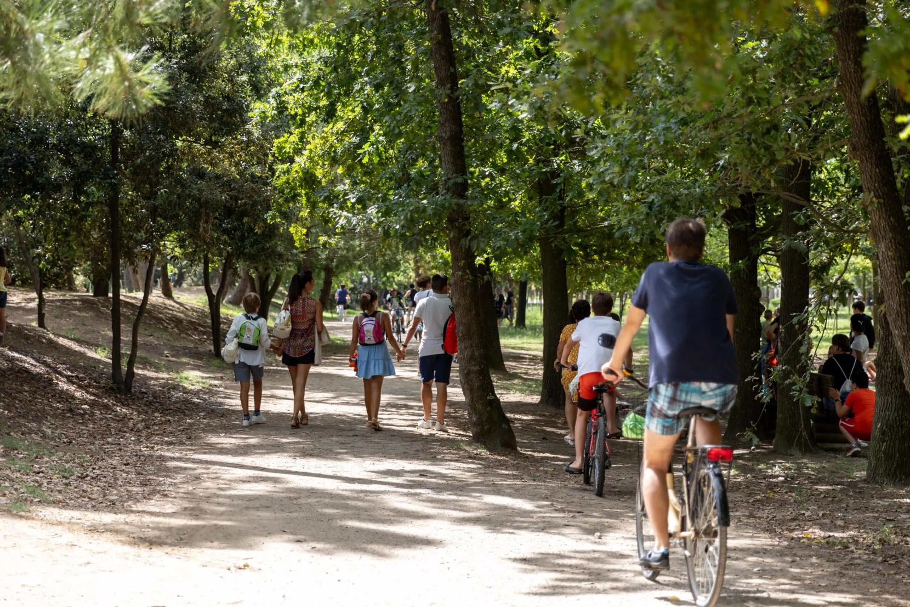 Natural landscape in Pinetina Mare Baby Family Hotel