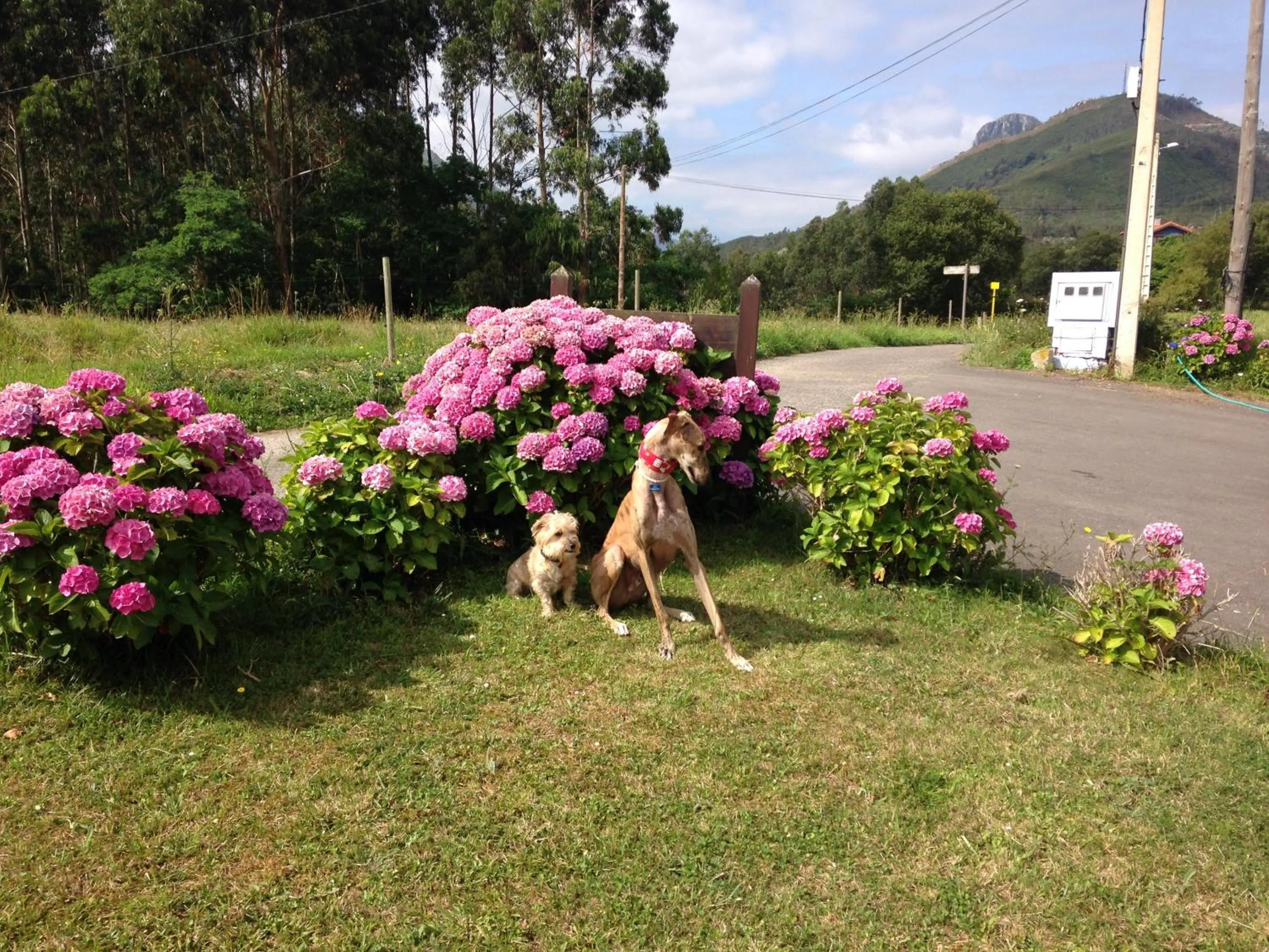 Facade/entrance in Hotel Mirador del Sella