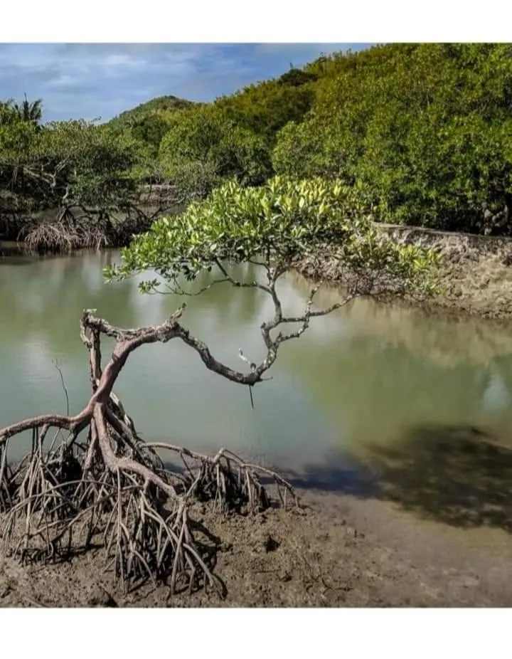 Costa Aguada Island Resort, Inampulugan Island, Sibunag, Guimaras