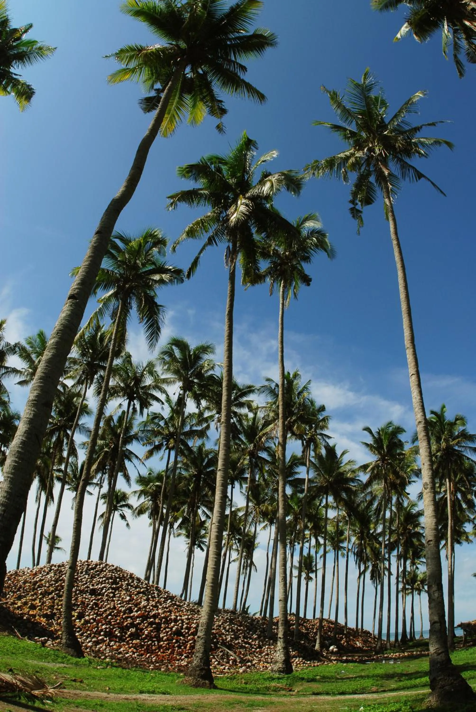 Day in Costa Aguada Island Resort, Inampulugan Island, Sibunag, Guimaras