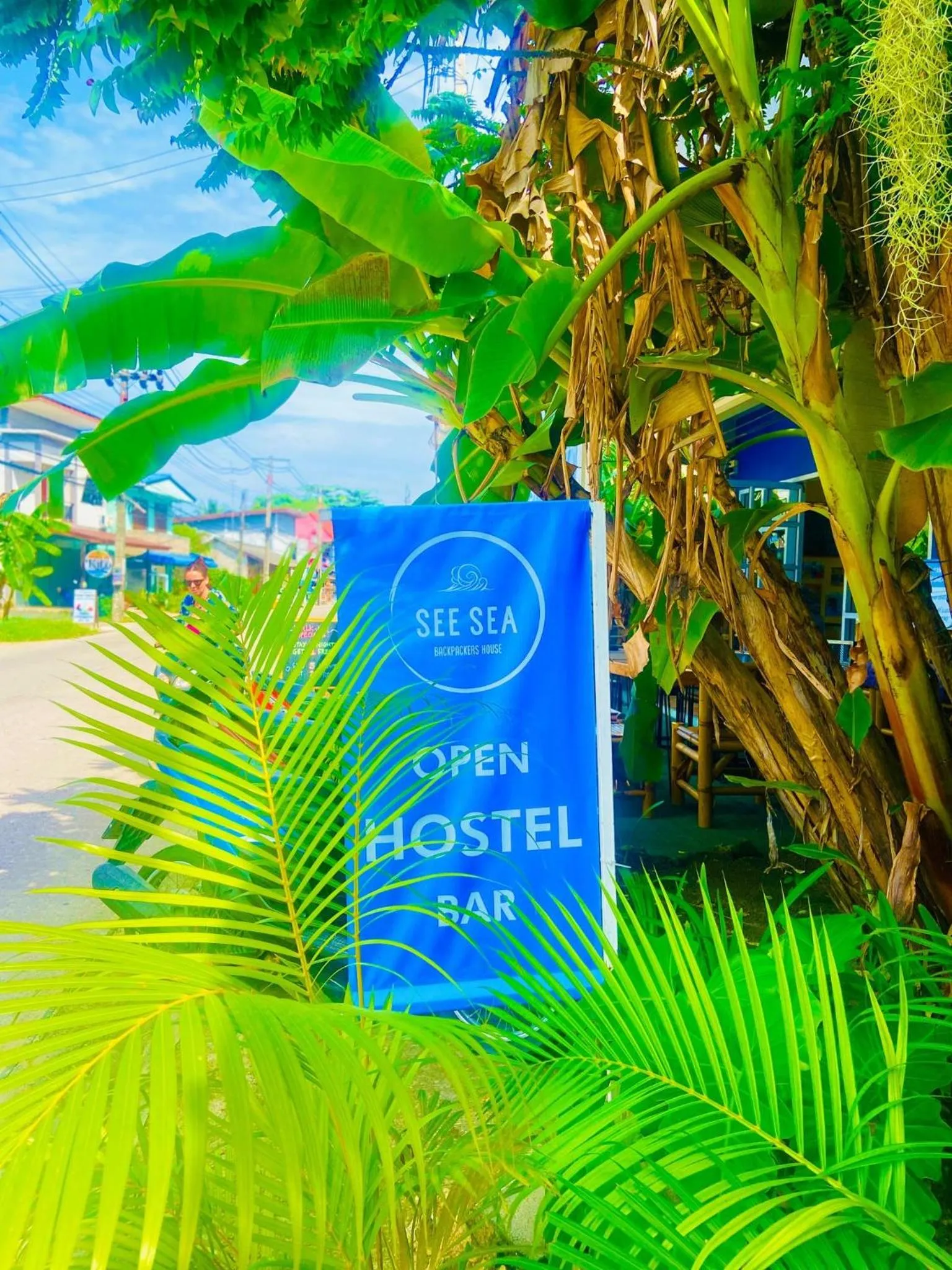 Property logo or sign in See Sea Backpackers House